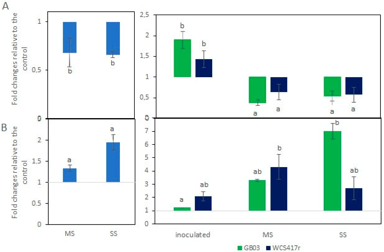 Horticulturae 08 01120 g004