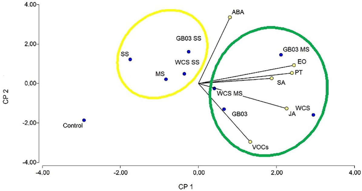 Horticulturae 08 01120 g005