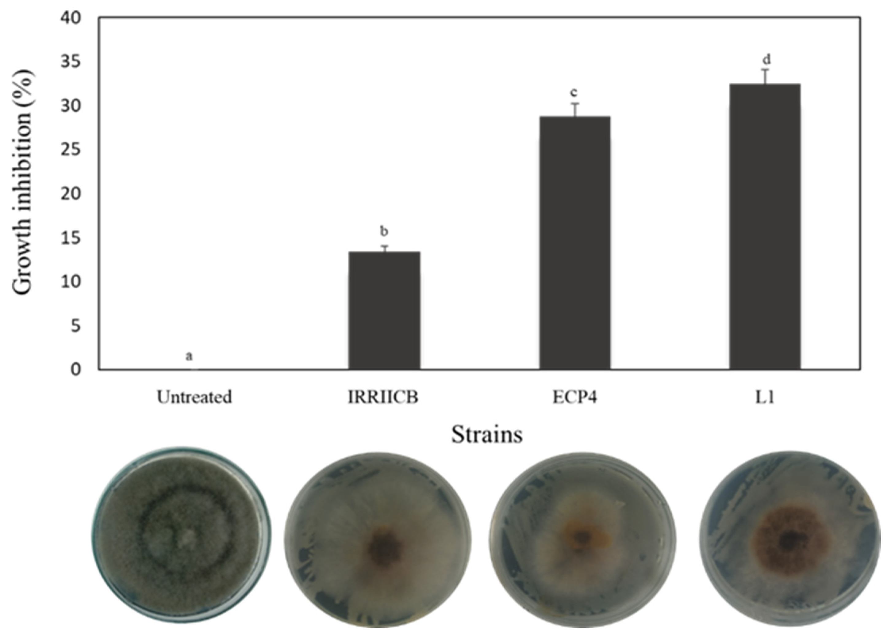 Horticulturae 08 01125 g002