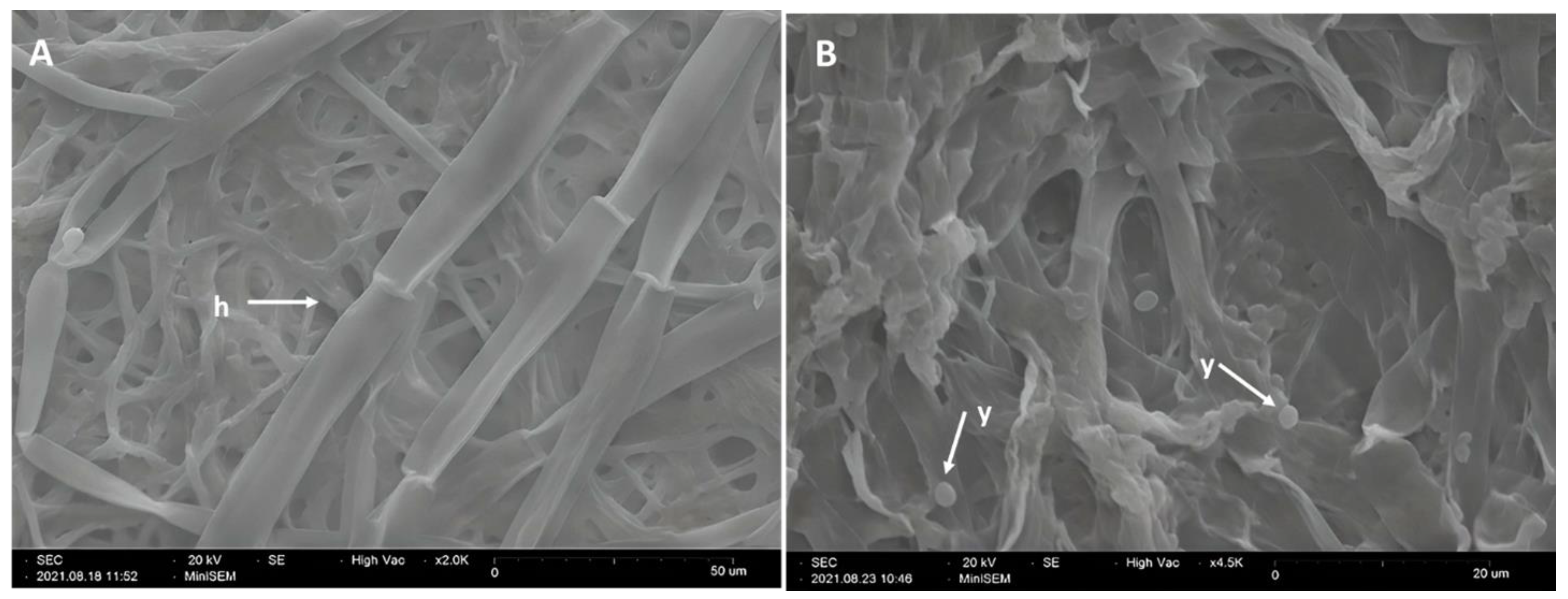 Horticulturae 08 01125 g003