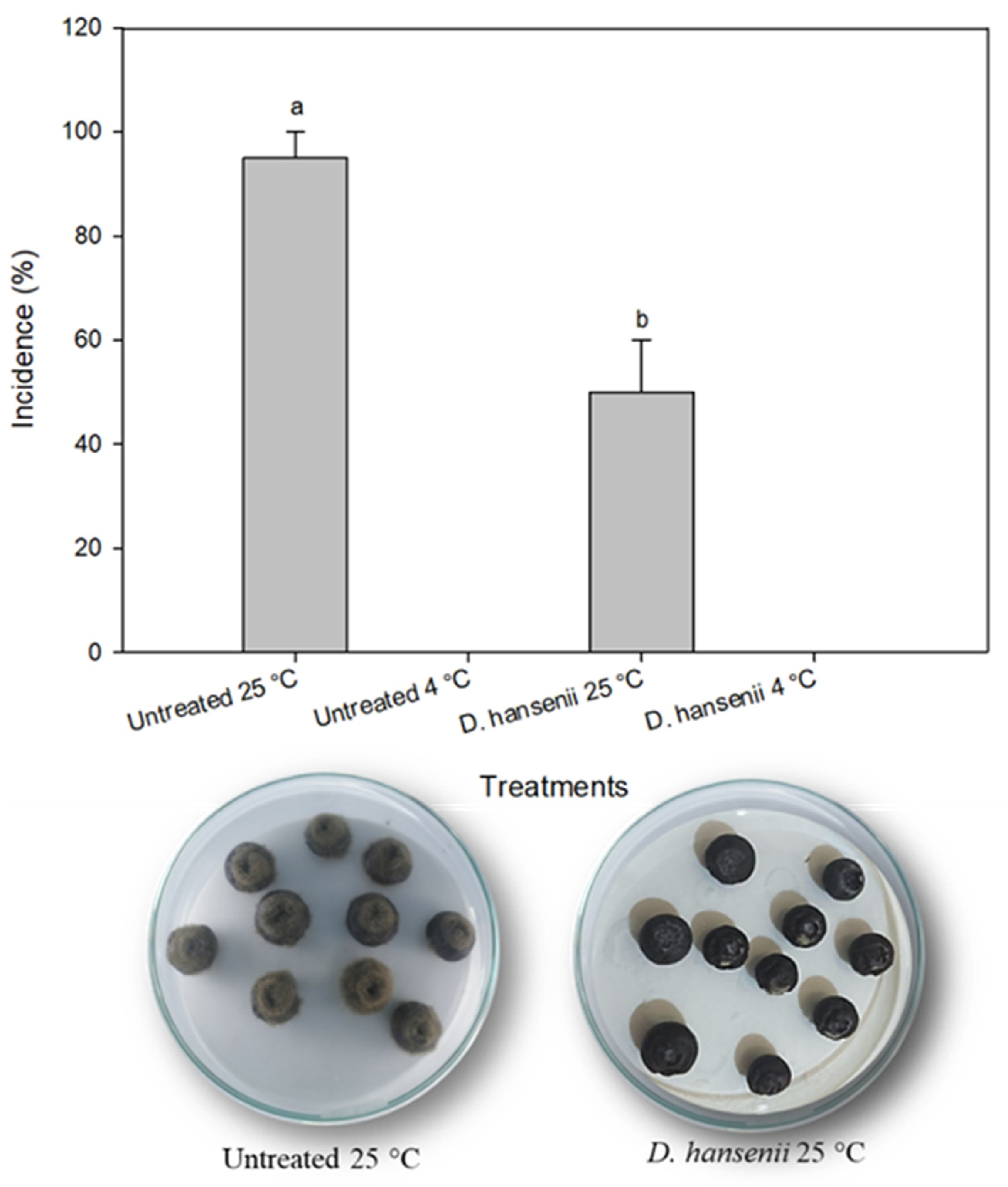 Horticulturae 08 01125 g004