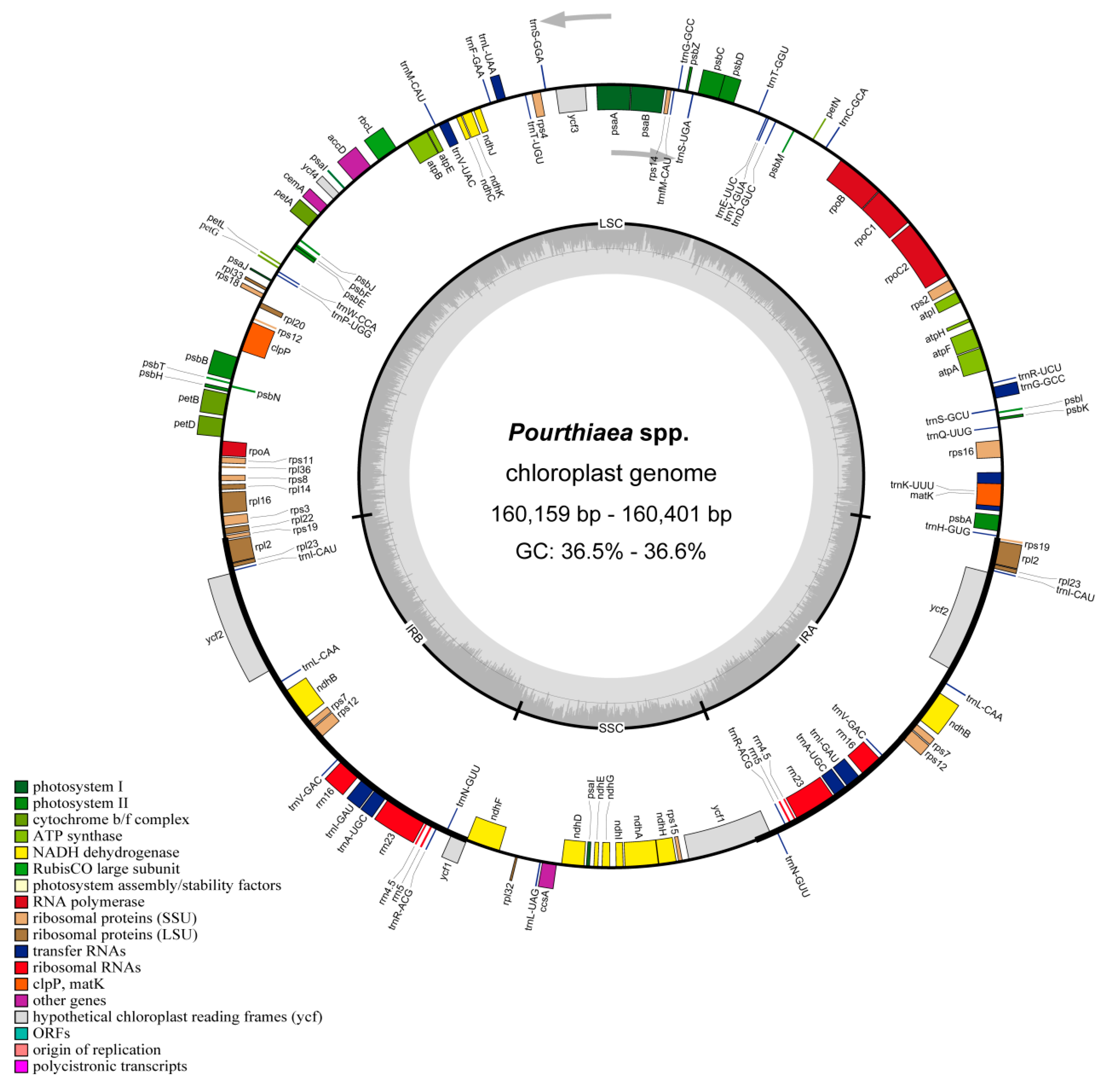 Horticulturae 08 01144 g001 Horticulturae 08 01144 g001