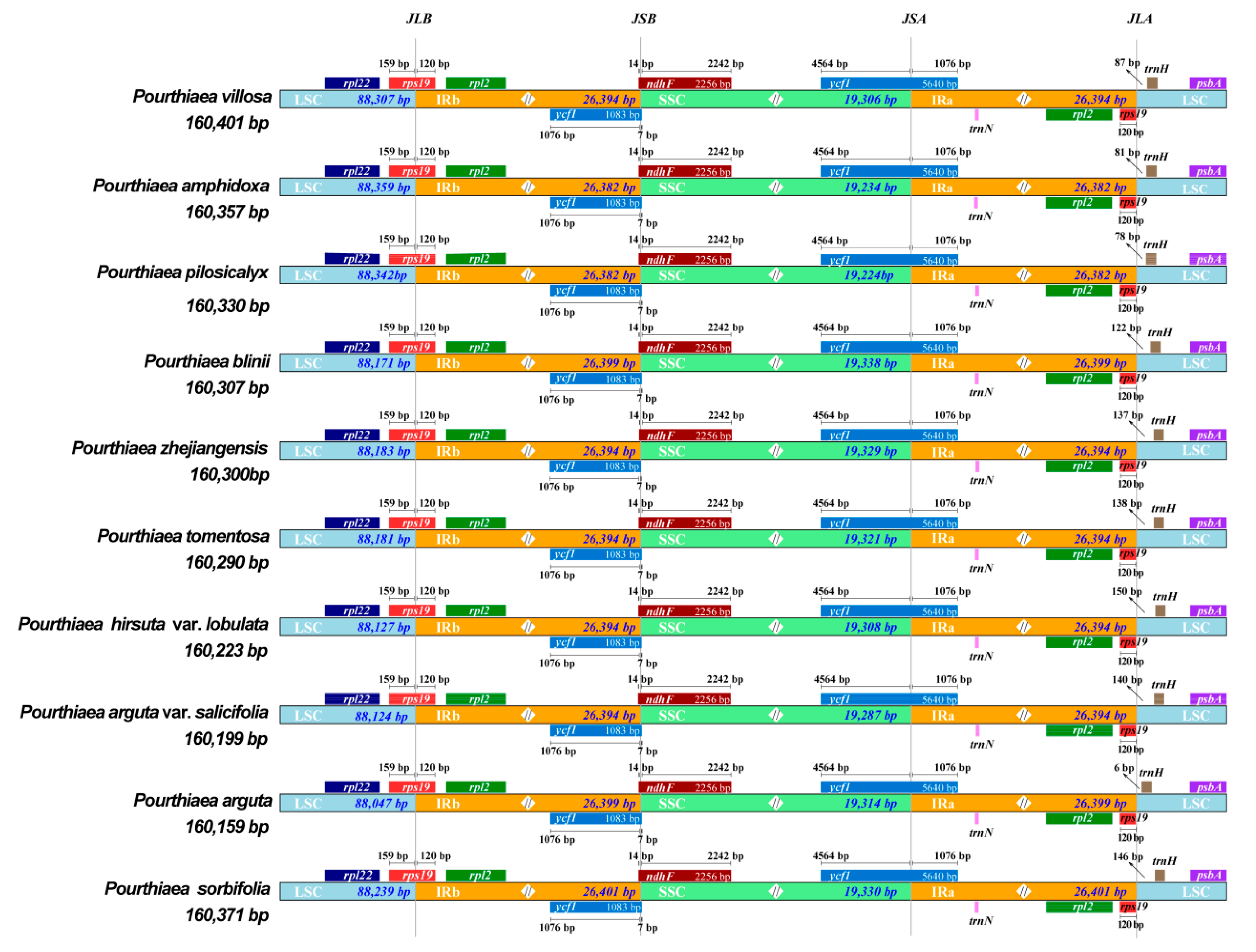 Horticulturae 08 01144 g003 Horticulturae 08 01144 g003