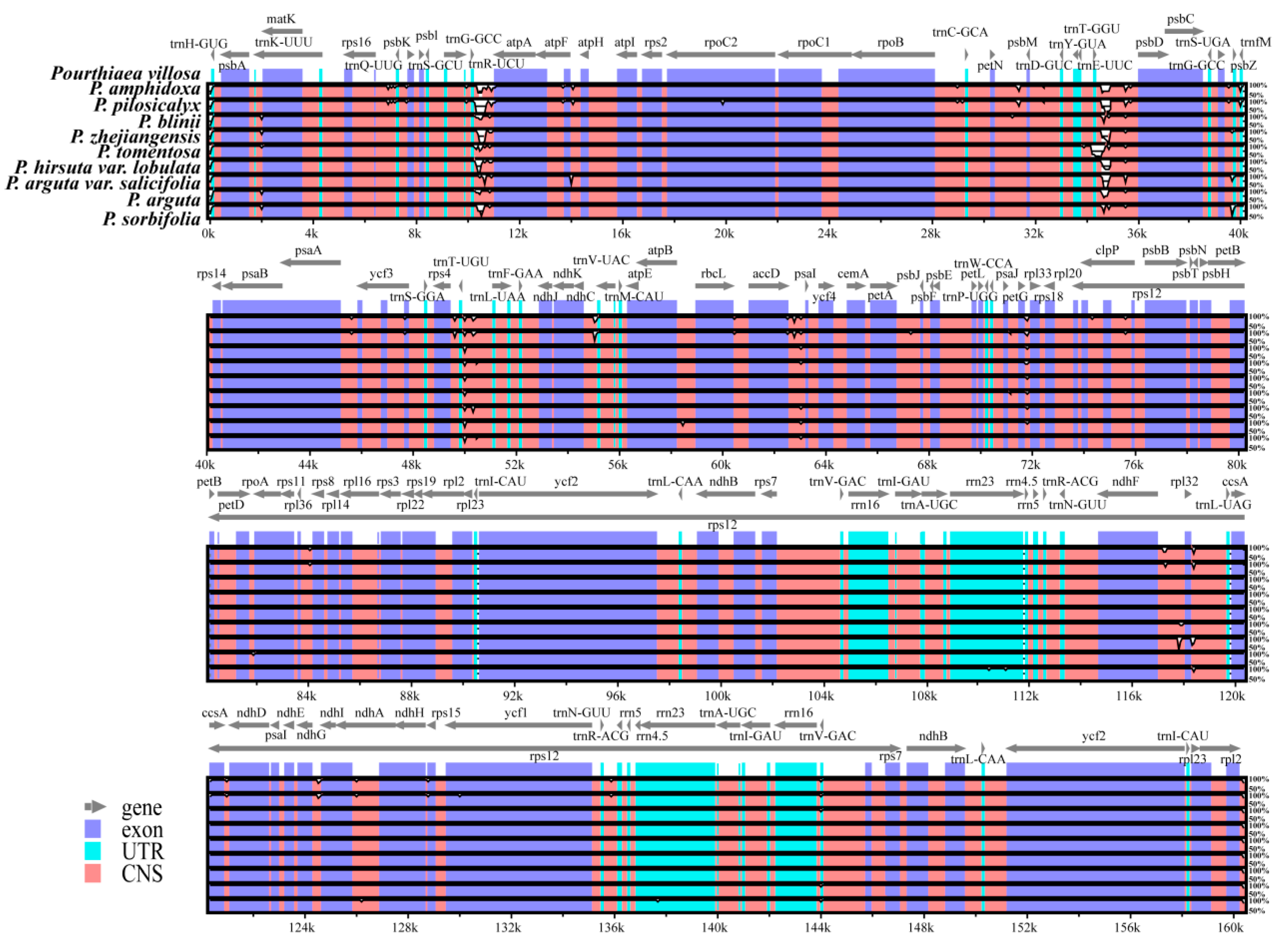 Horticulturae 08 01144 g004 Horticulturae 08 01144 g004