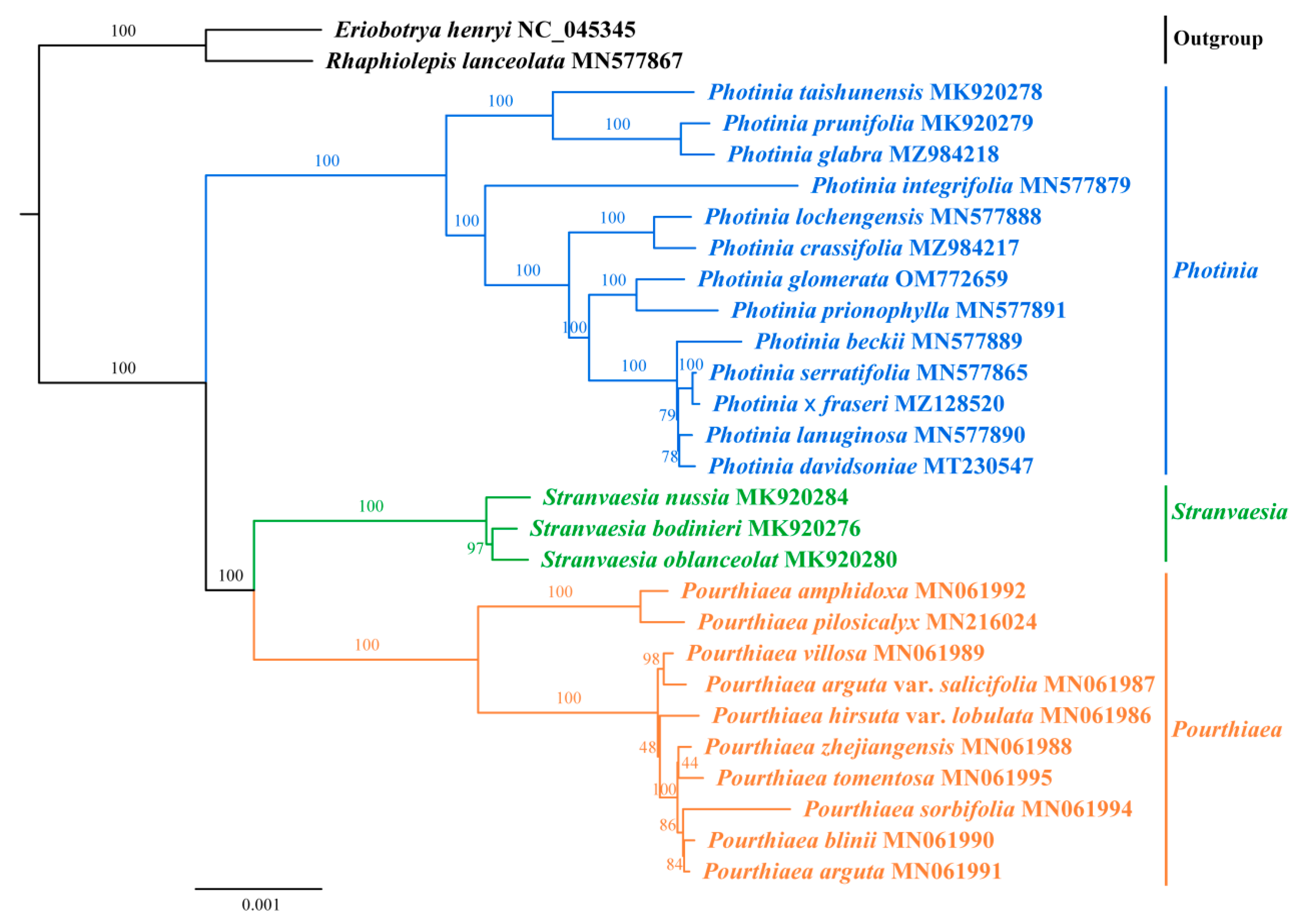 Horticulturae 08 01144 g006 Horticulturae 08 01144 g006