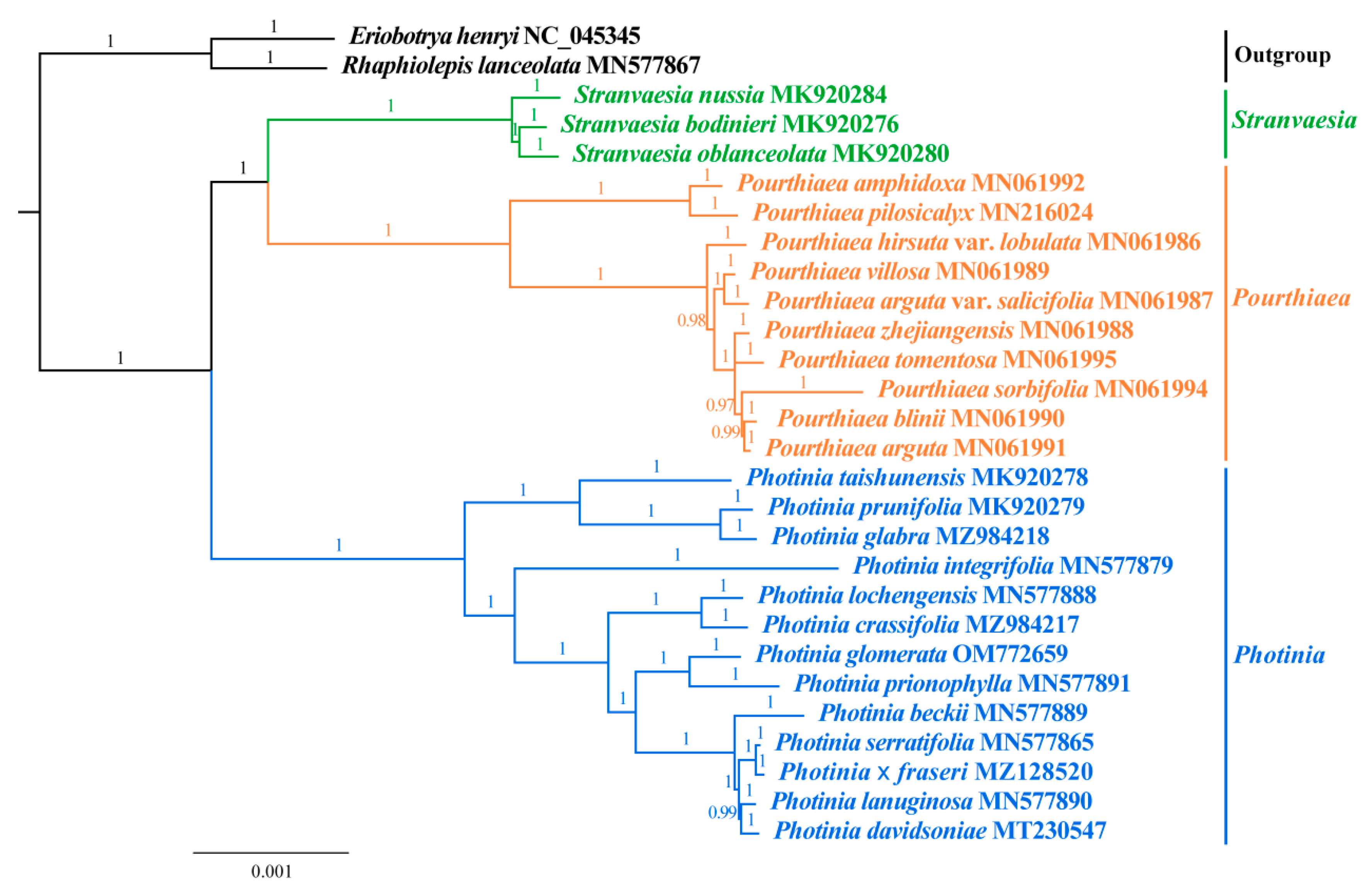 Horticulturae 08 01144 g007 Horticulturae 08 01144 g007