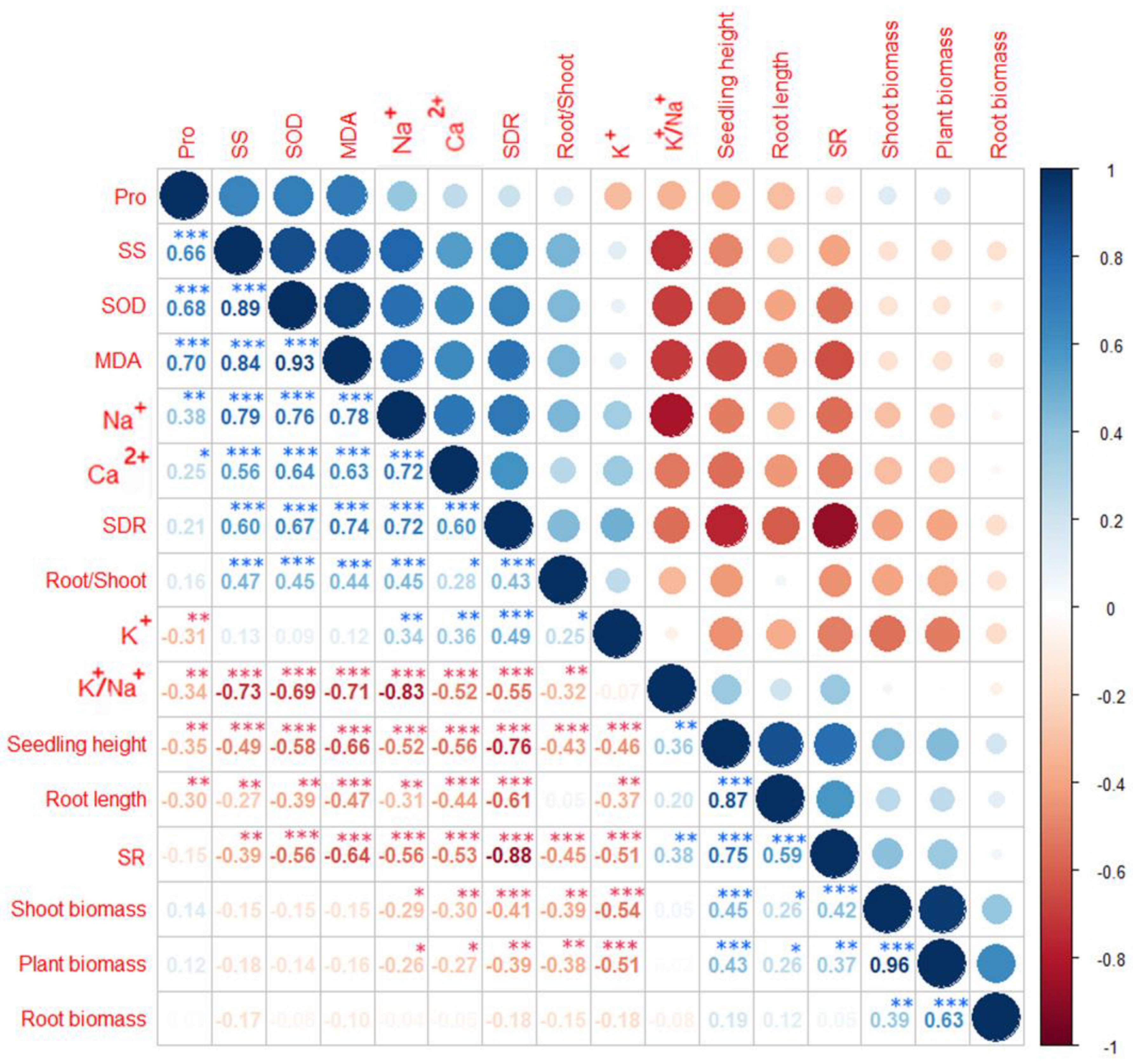 Horticulturae 08 01149 g004