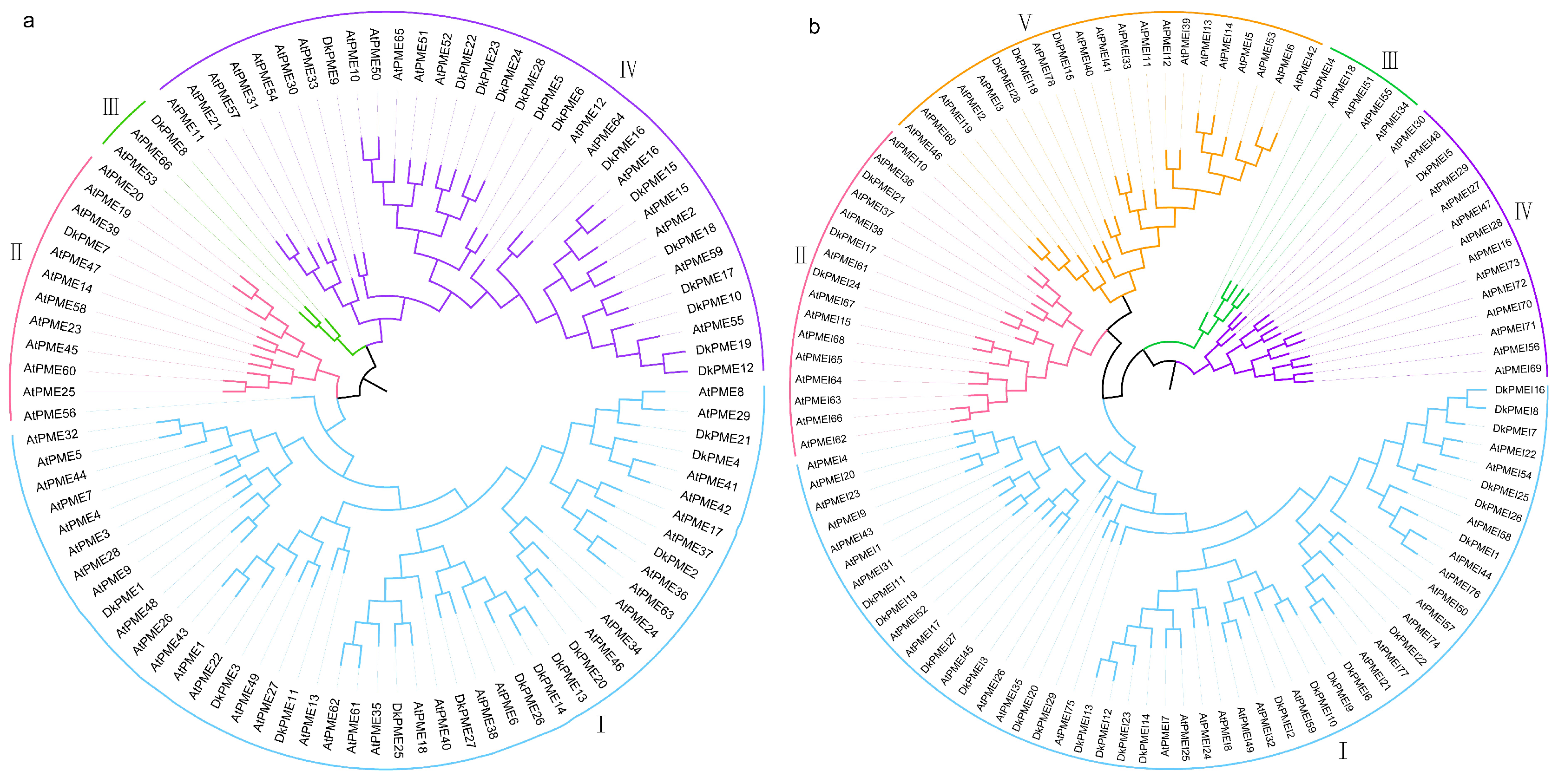 Horticulturae 08 01159 g001