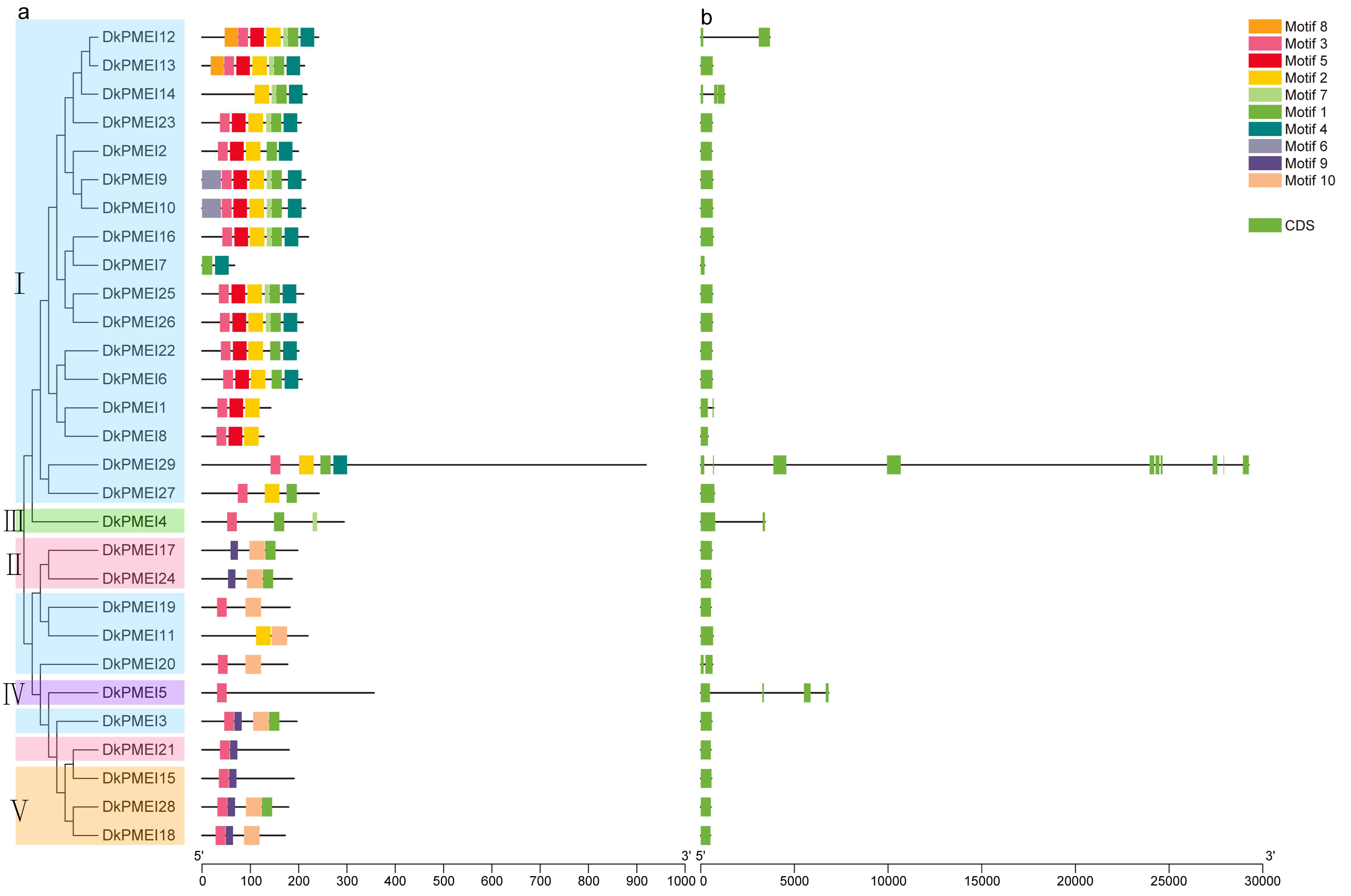 Horticulturae 08 01159 g003