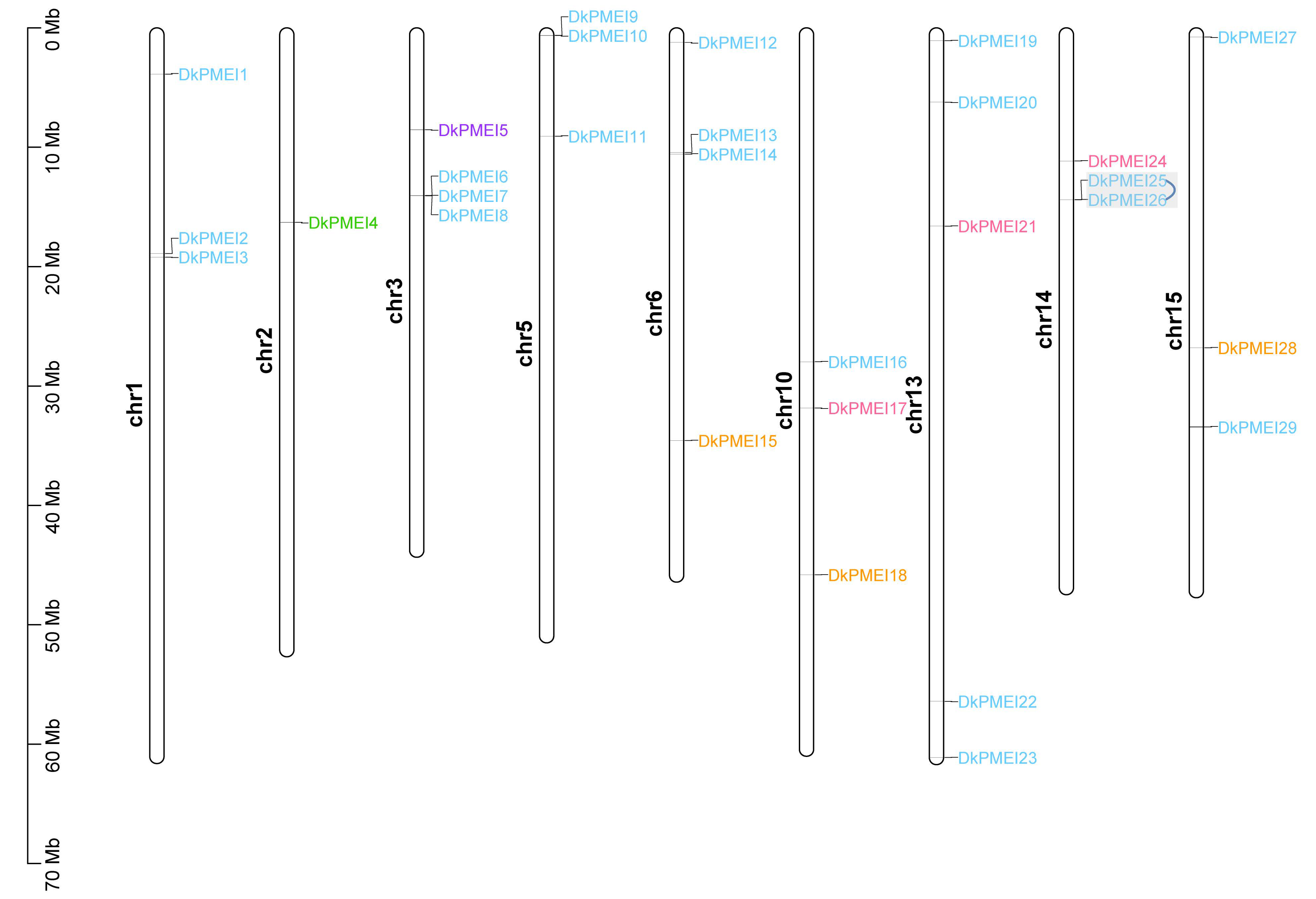 Horticulturae 08 01159 g005