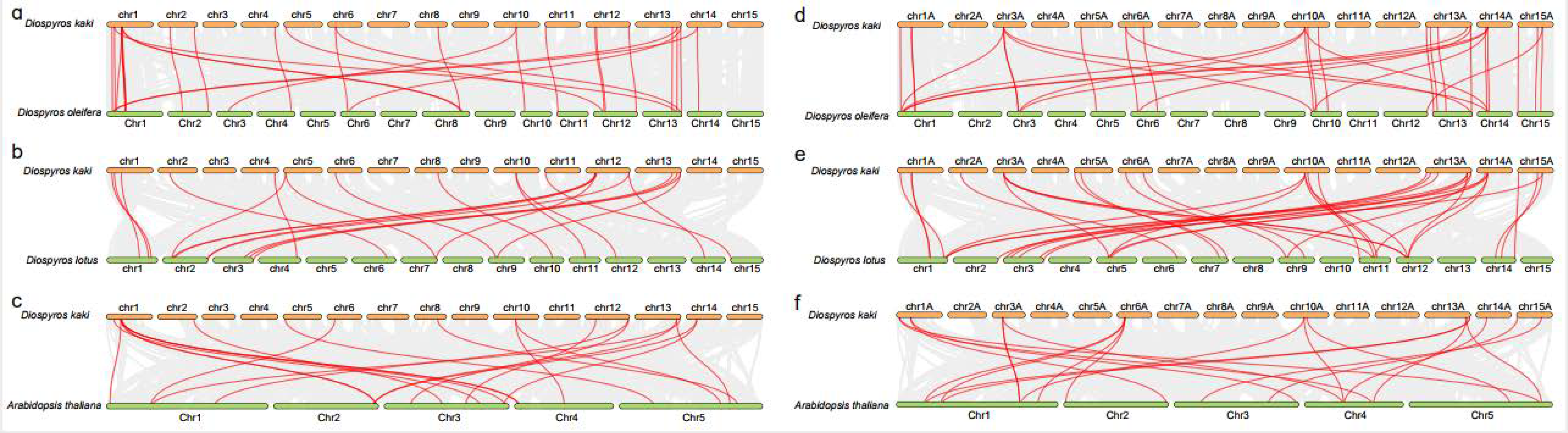 Horticulturae 08 01159 g006