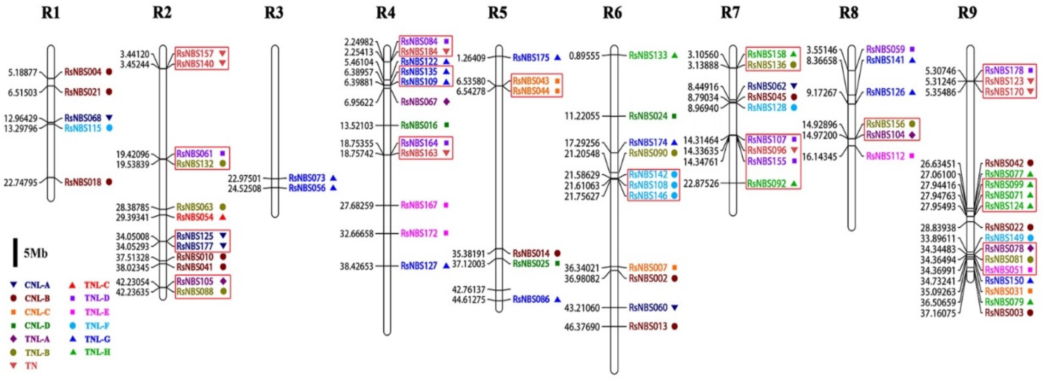 Horticulturae 08 01164 g002 Horticulturae 08 01164 g002