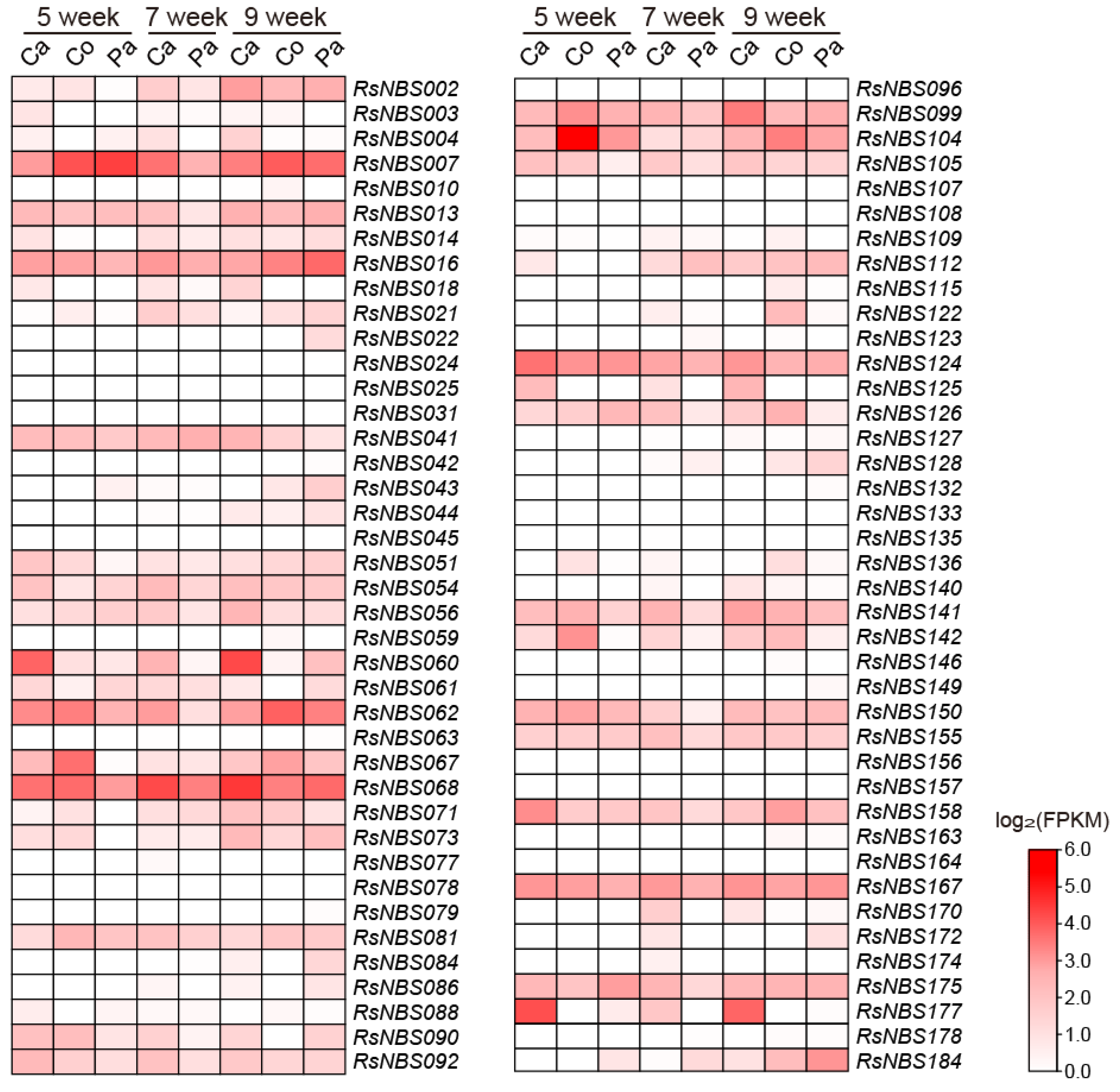 Horticulturae 08 01164 g005 Horticulturae 08 01164 g005