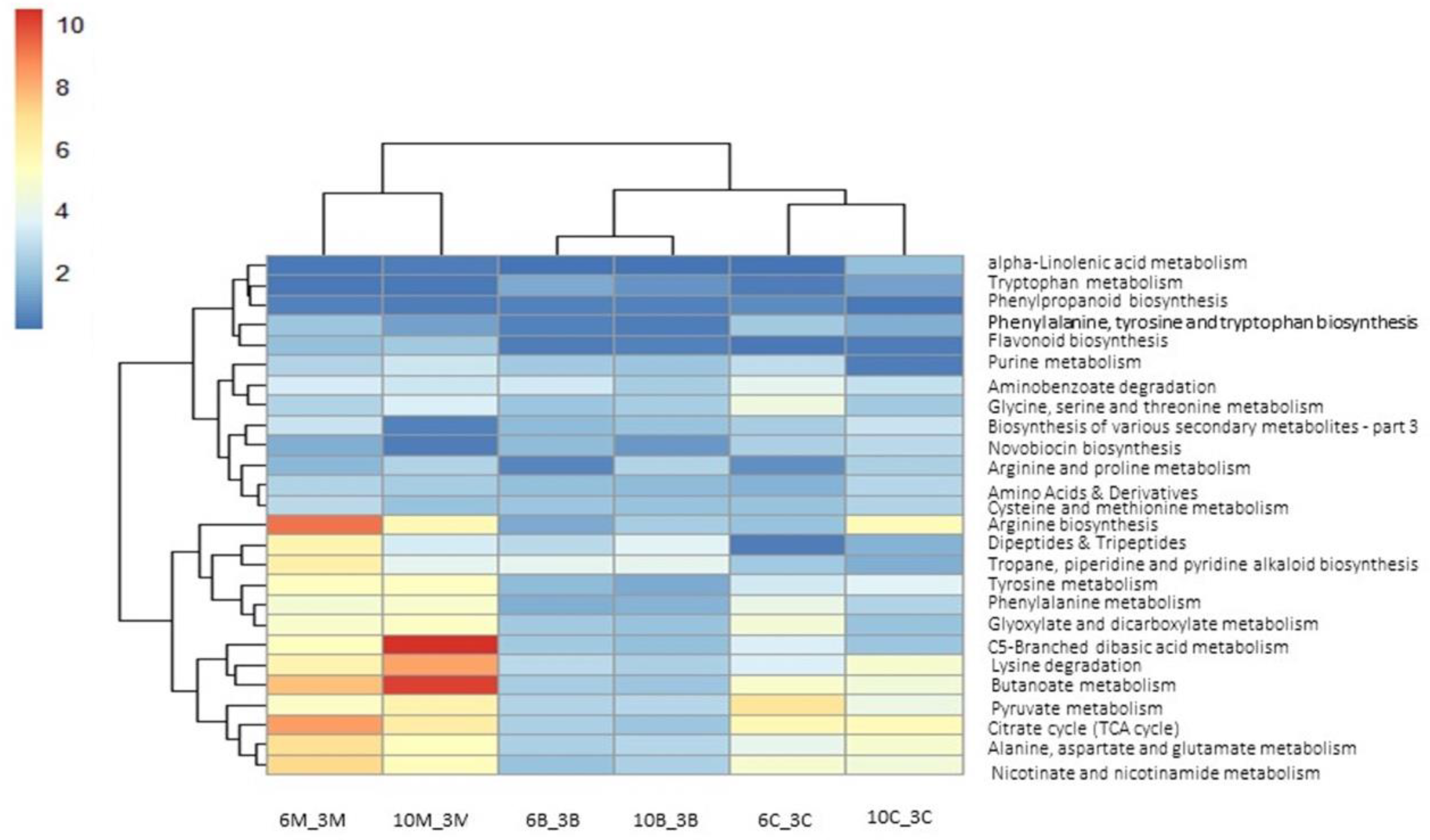 Horticulturae 08 01182 g012