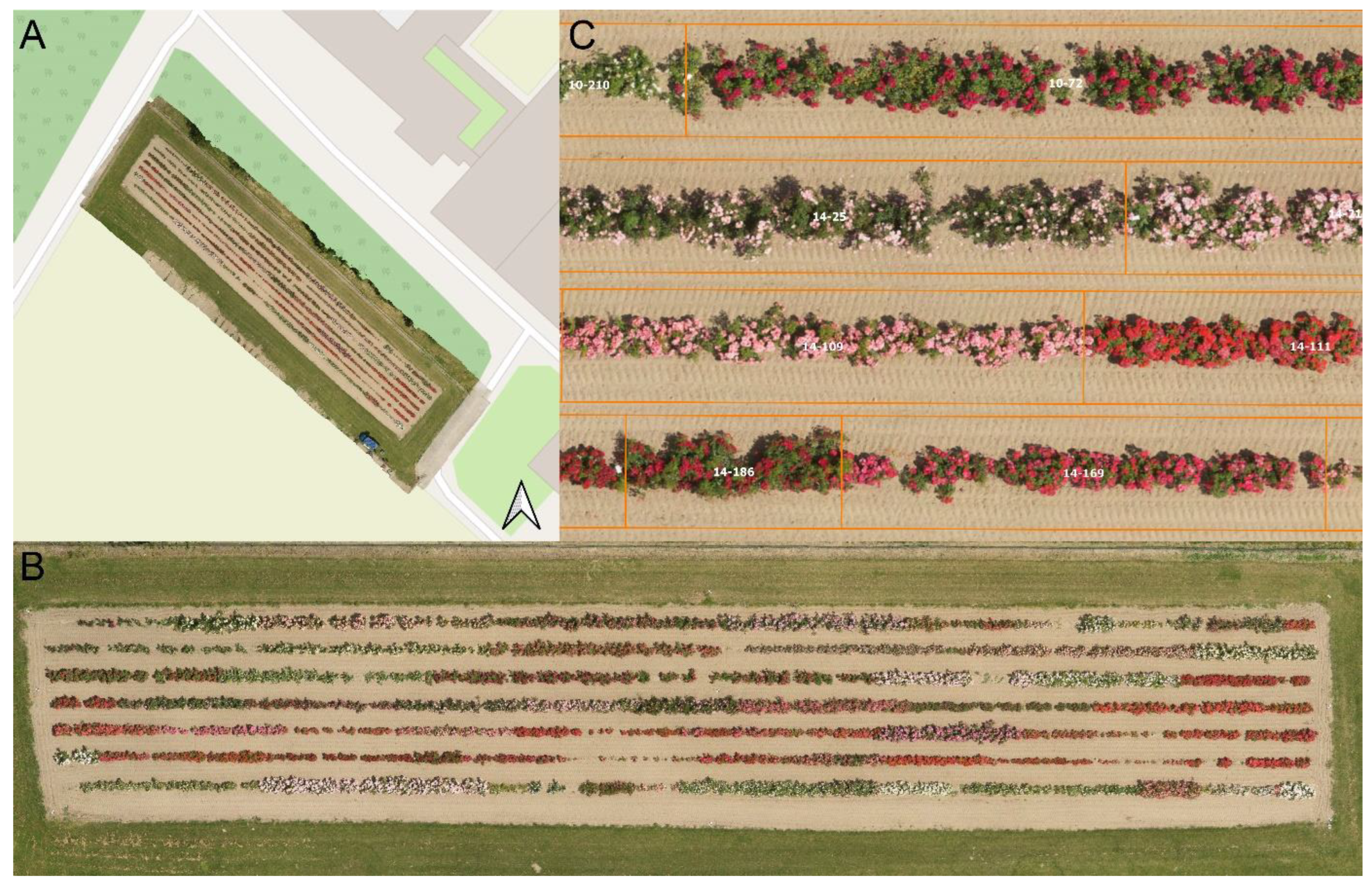 Horticulturae 08 01186 g002
