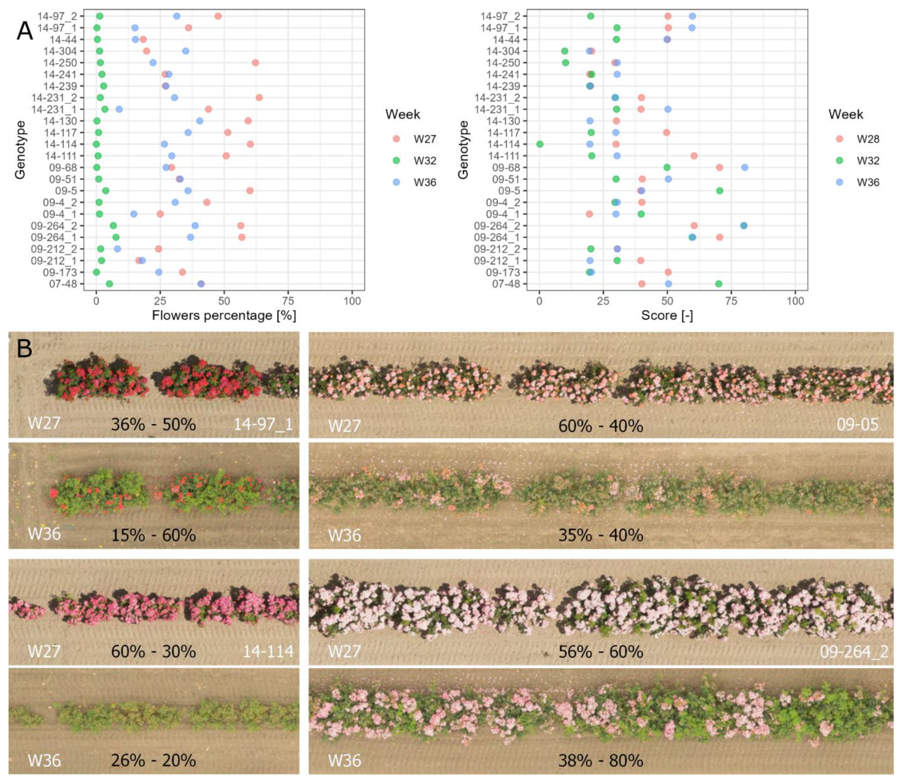 Horticulturae 08 01186 g005