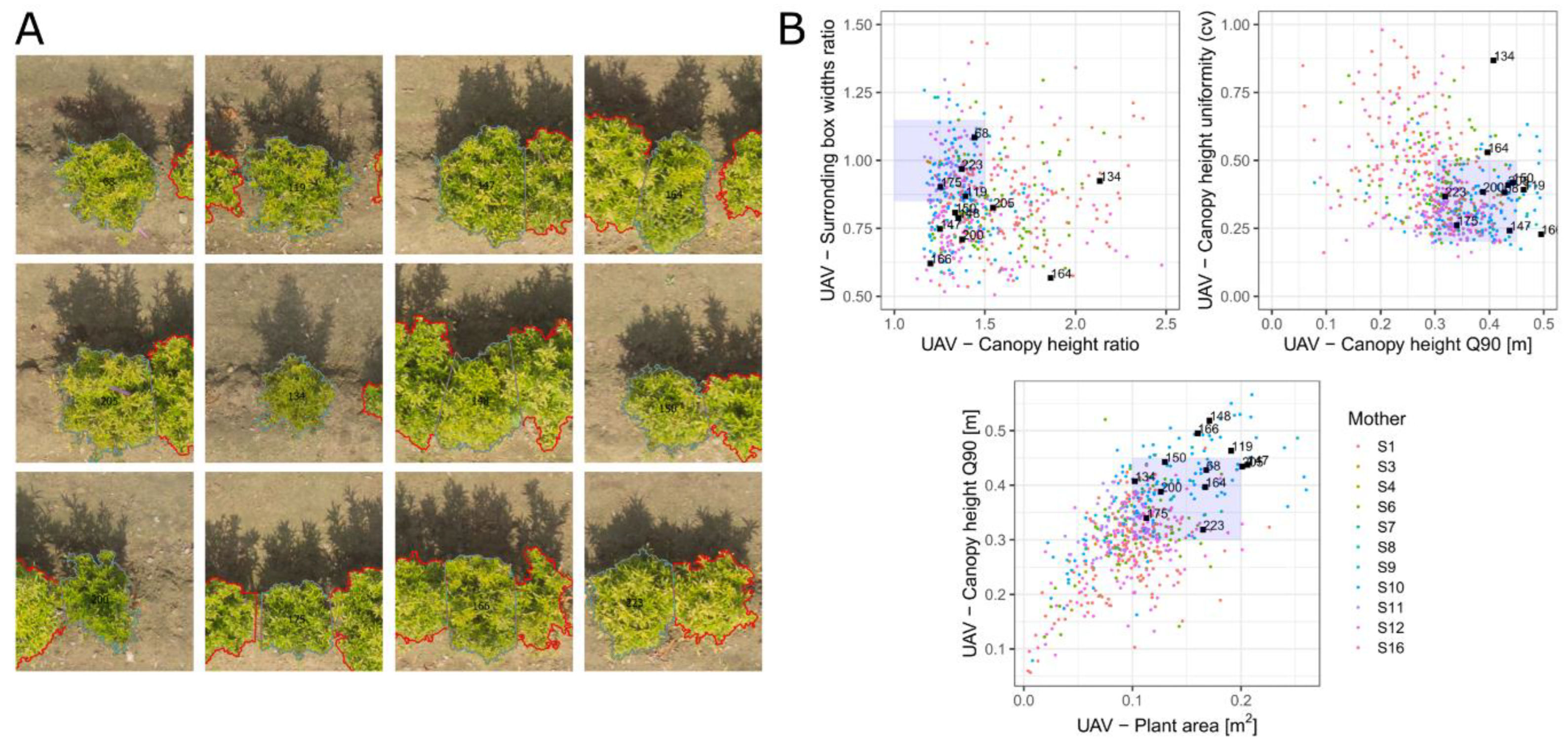 Horticulturae 08 01186 g008