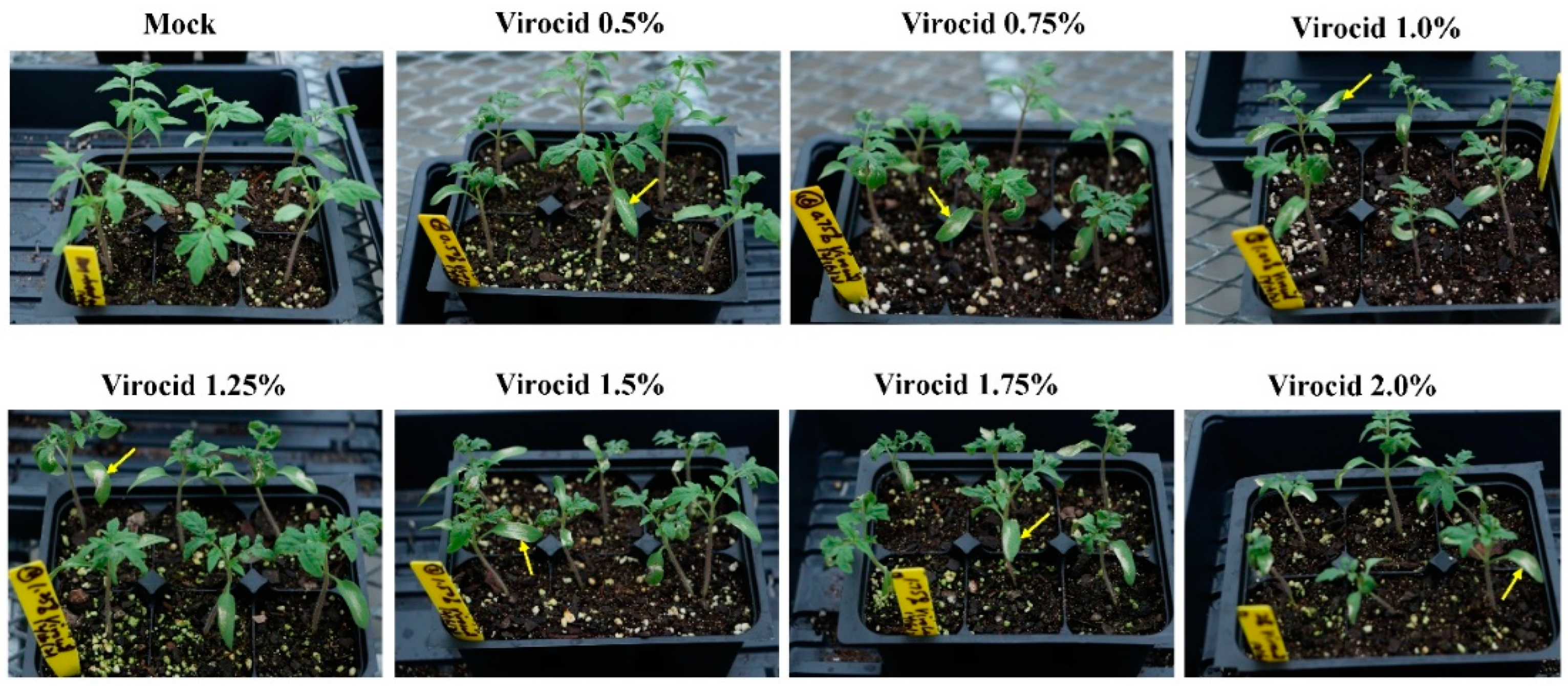 Horticulturae 08 01193 g005