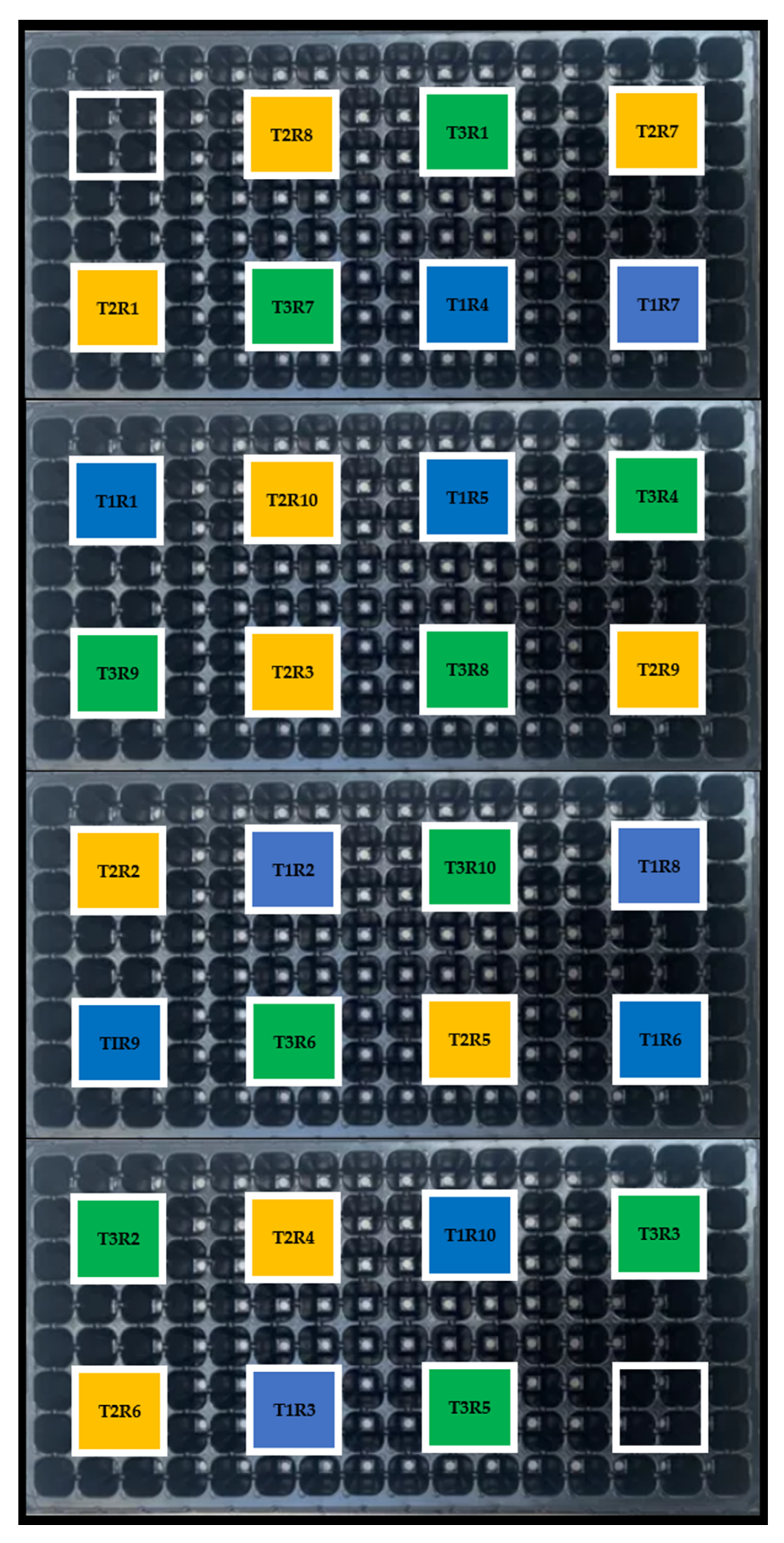 Horticulturae 08 01200 g001
