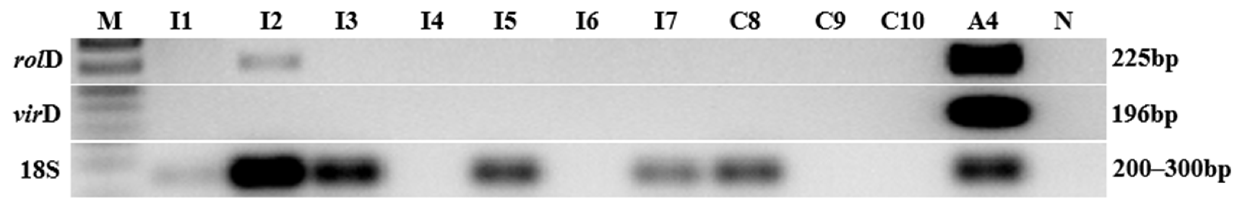 Horticulturae 09 00004 g009