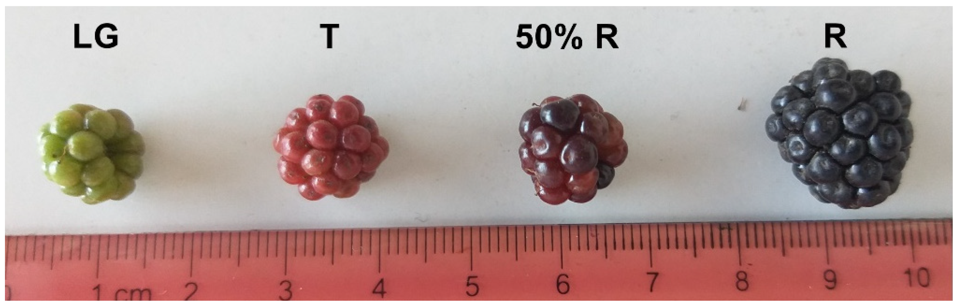 Horticulturae 09 00013 g001