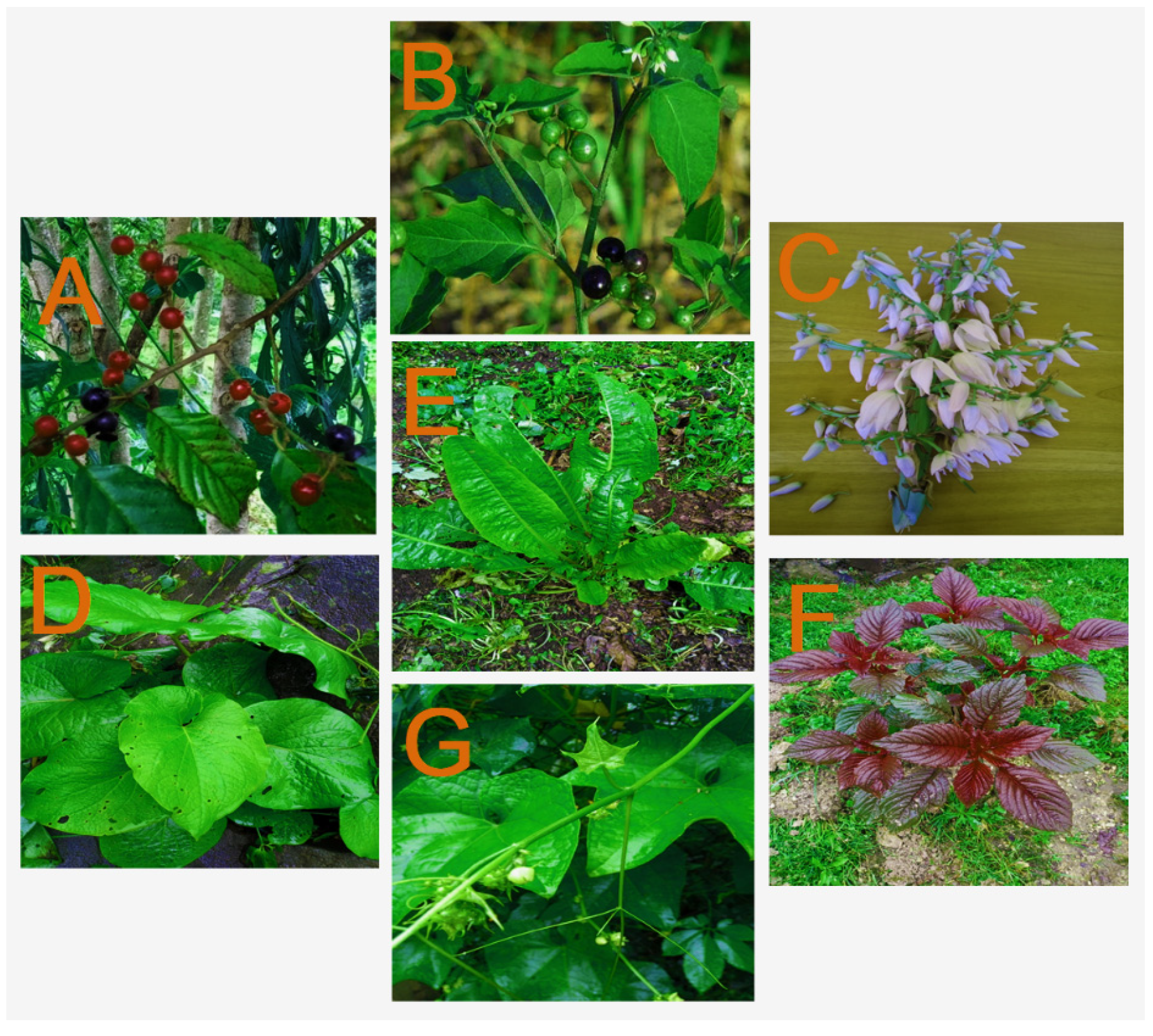 Horticulturae 09 00018 g001 Horticulturae 09 00018 g001