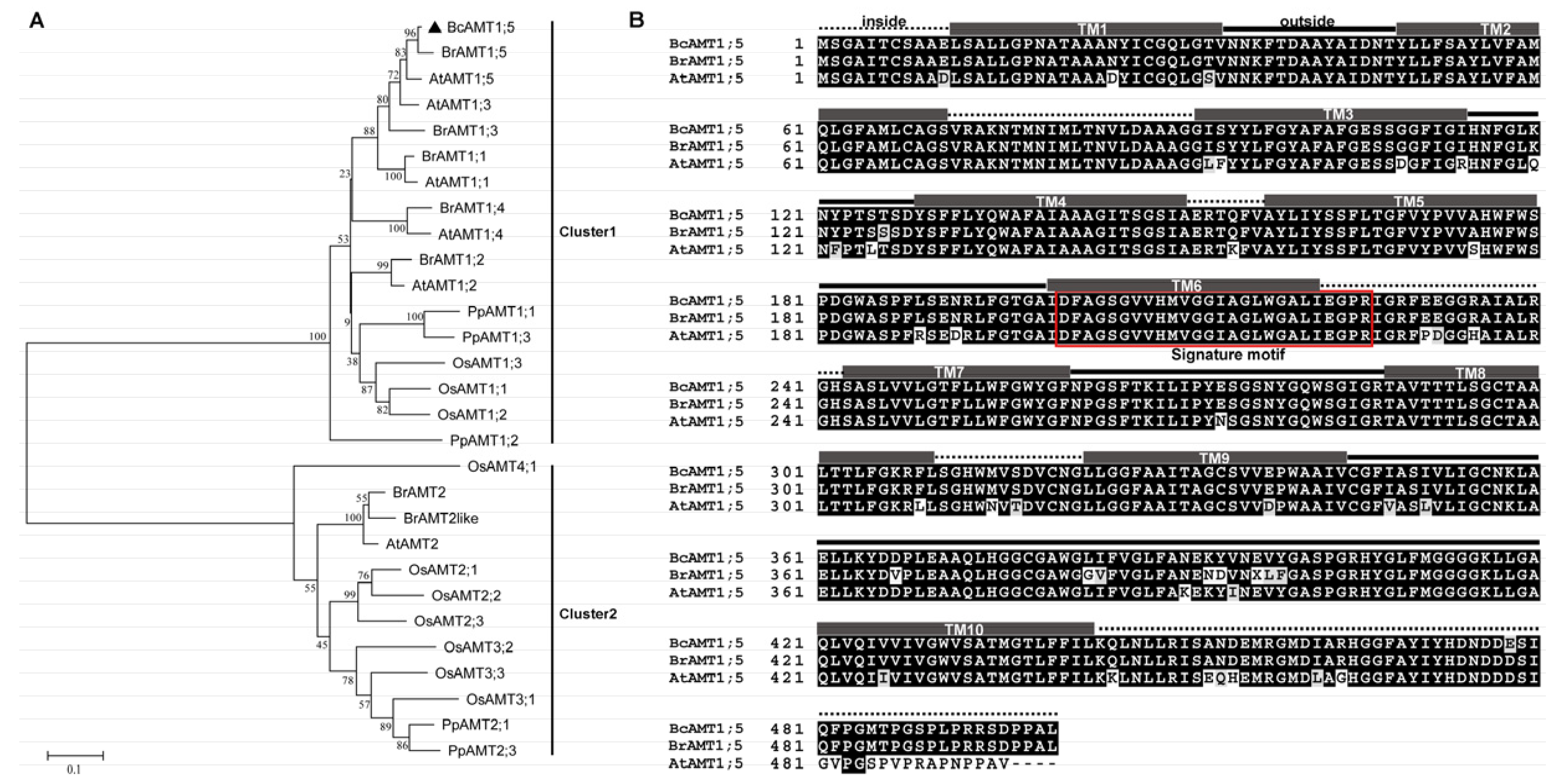 Horticulturae 09 00043 g001 Horticulturae 09 00043 g001