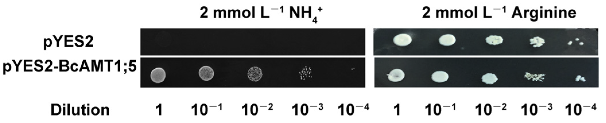 Horticulturae 09 00043 g003 Horticulturae 09 00043 g003