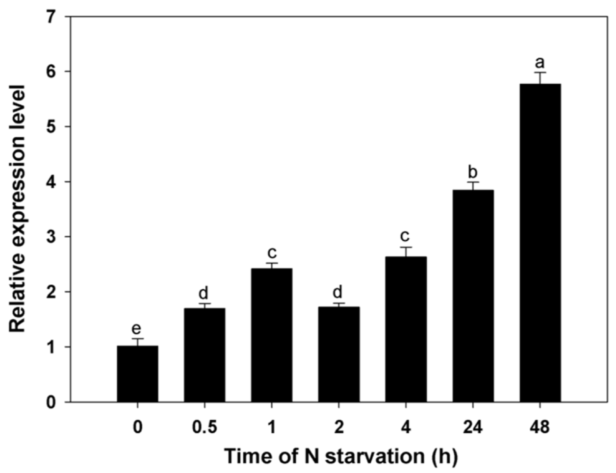 Horticulturae 09 00043 g005 Horticulturae 09 00043 g005