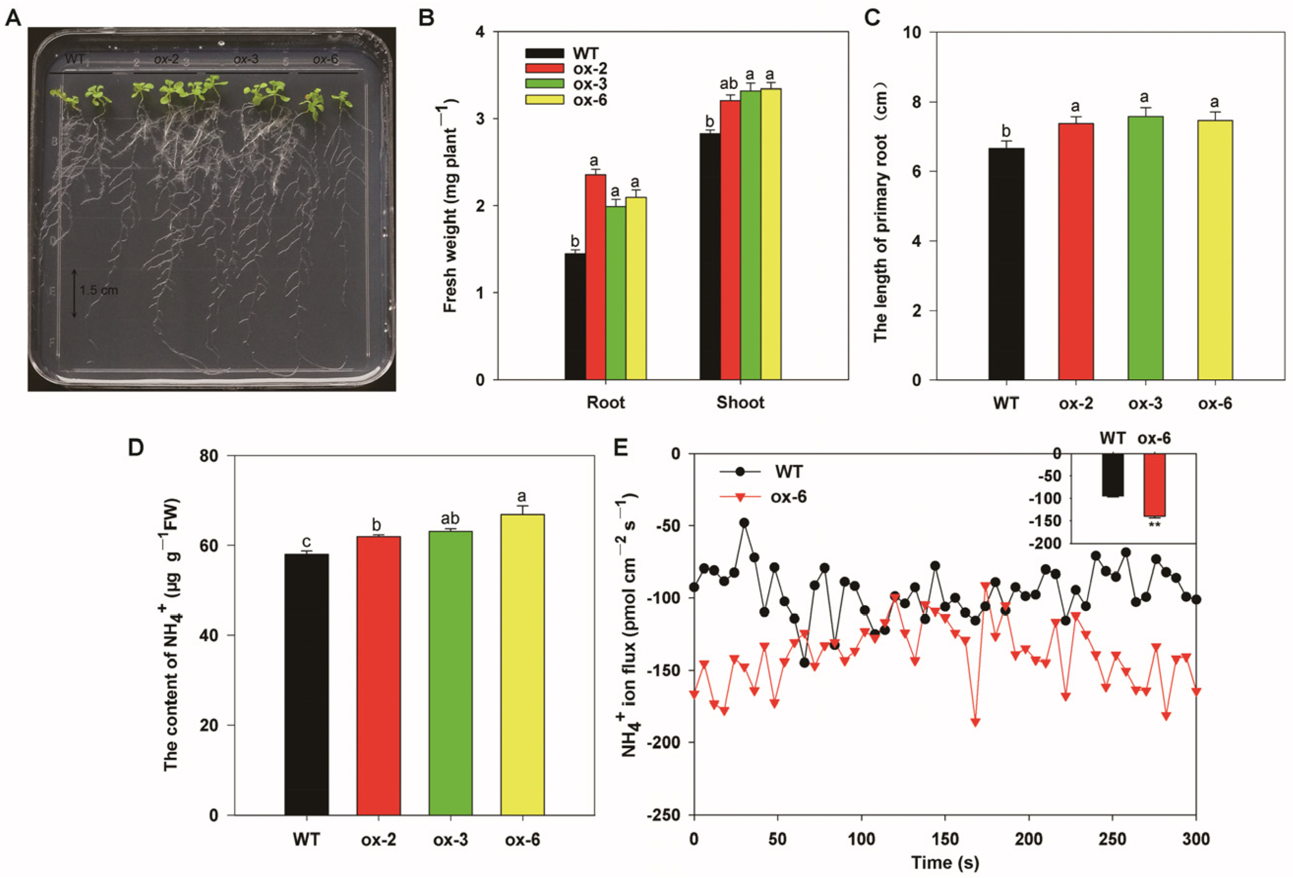 Horticulturae 09 00043 g009 Horticulturae 09 00043 g009