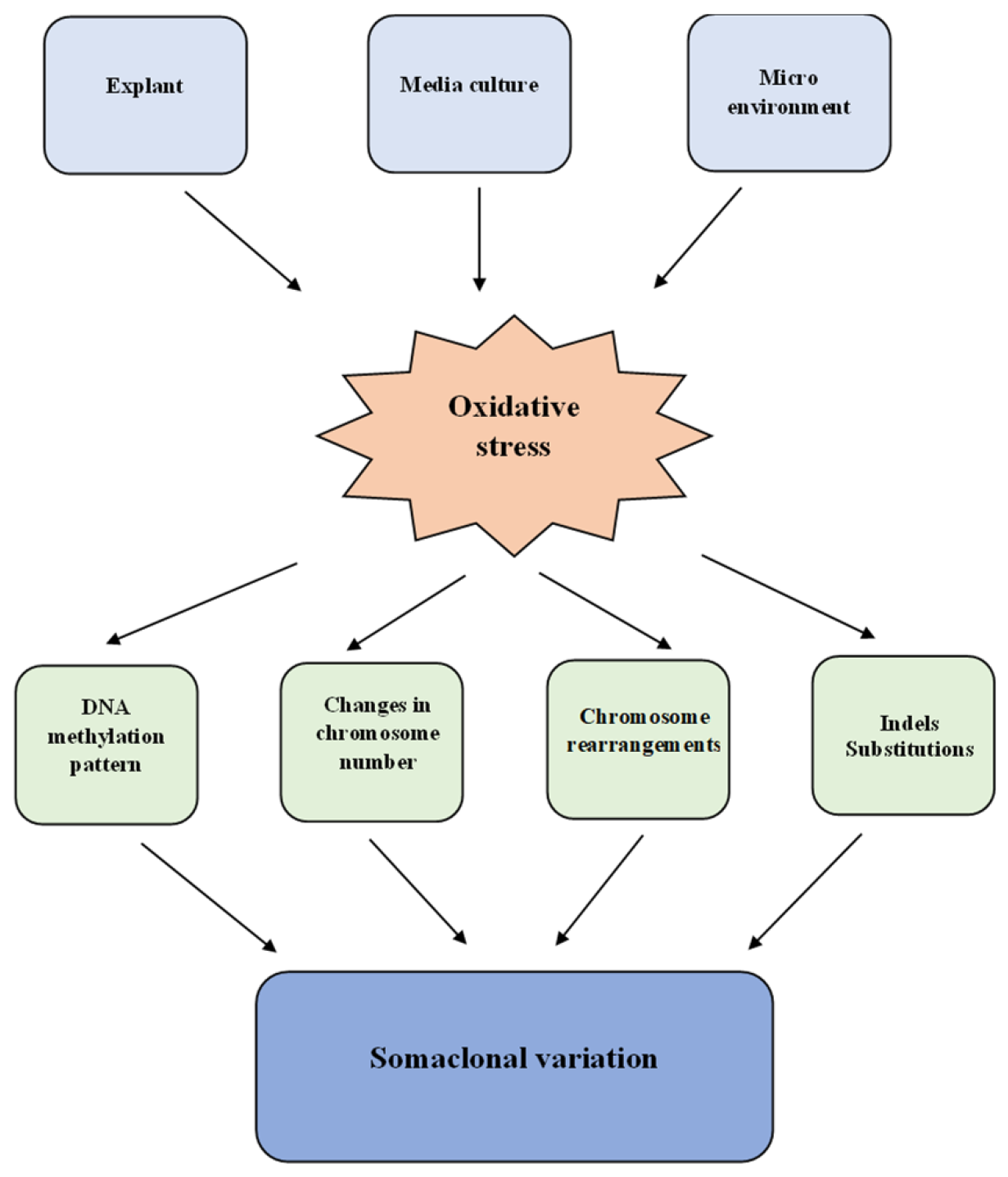 Horticulturae 09 00062 g001 Horticulturae 09 00062 g001