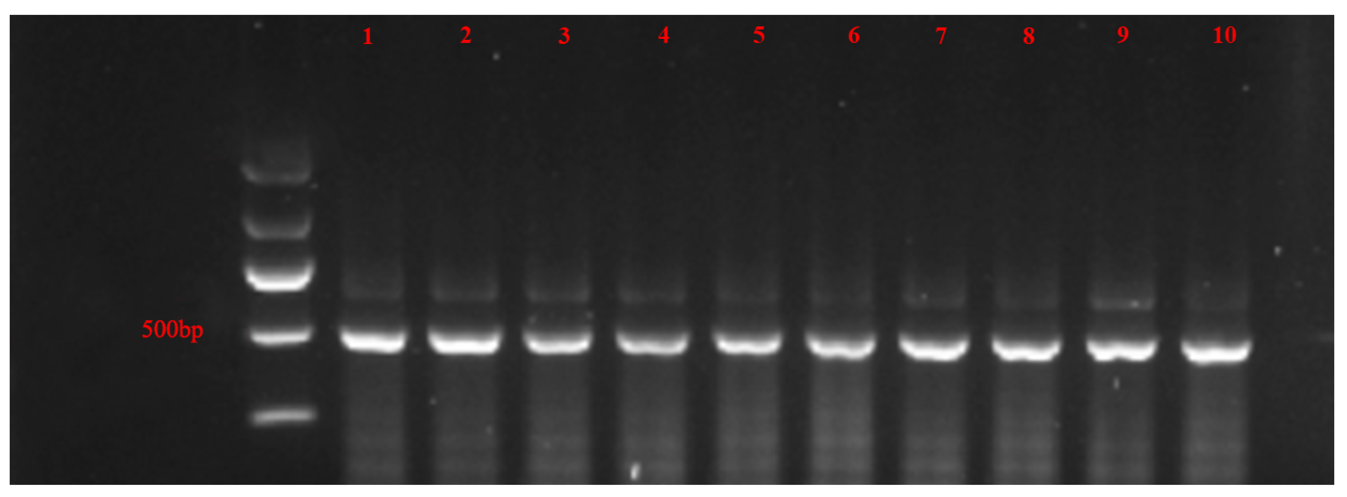 Horticulturae 09 00068 g001 Horticulturae 09 00068 g001