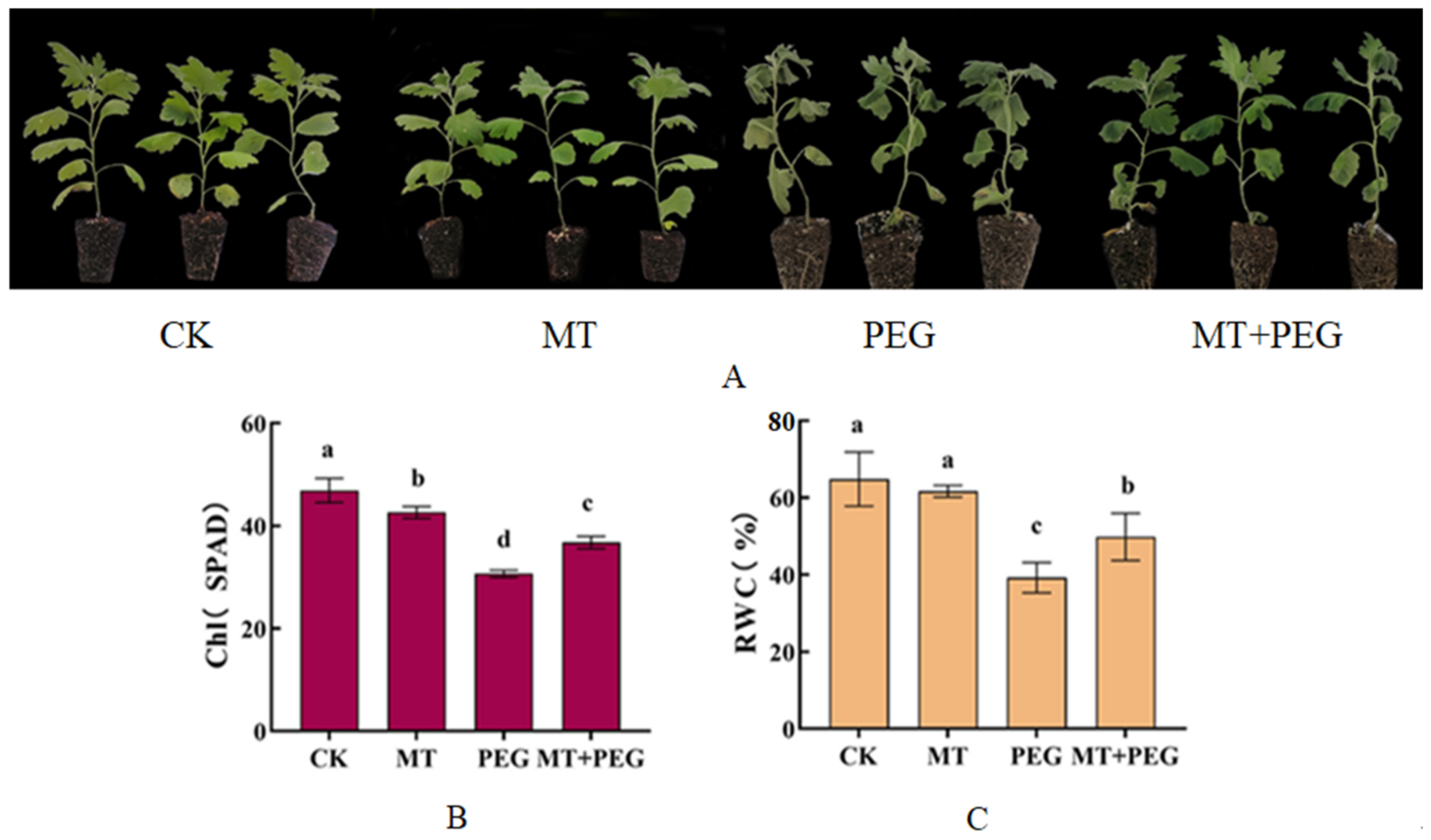 Horticulturae 09 00106 g001 Horticulturae 09 00106 g001