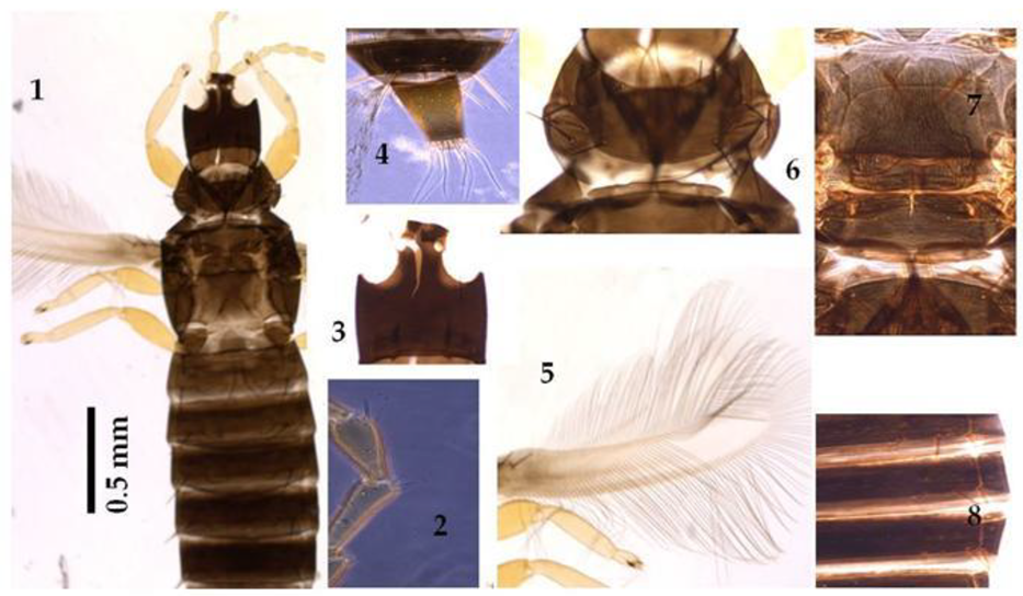 Horticulturae 09 00107 g002 Horticulturae 09 00107 g002