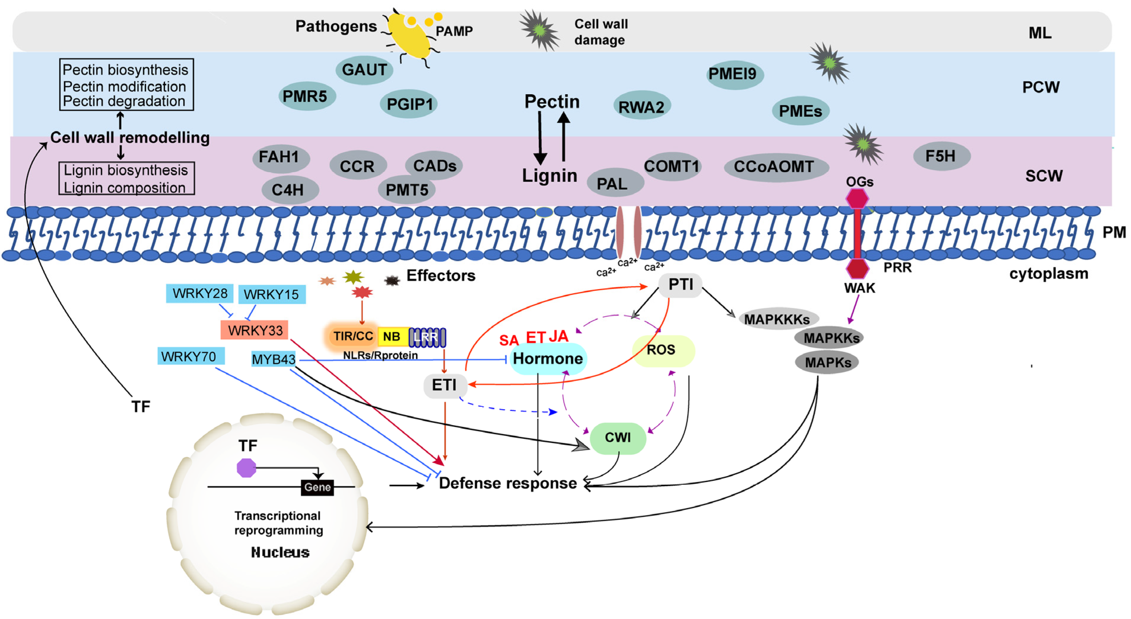Horticulturae 09 00112 g001