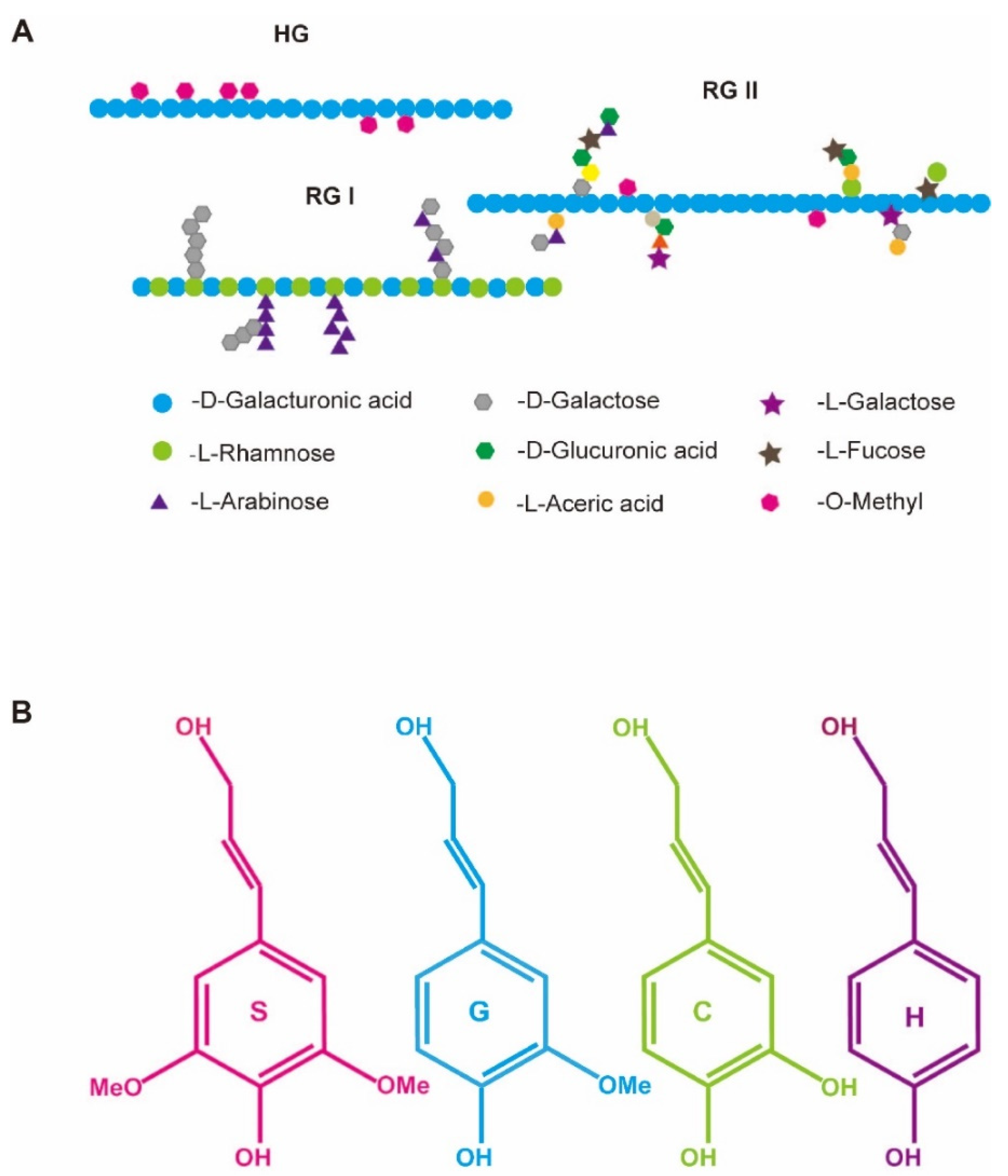Horticulturae 09 00112 g002