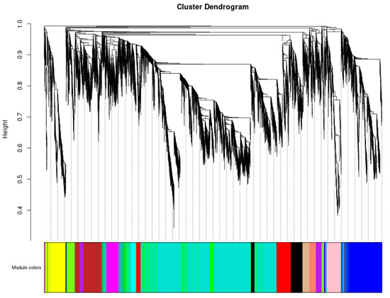 Horticulturae 09 00115 g007