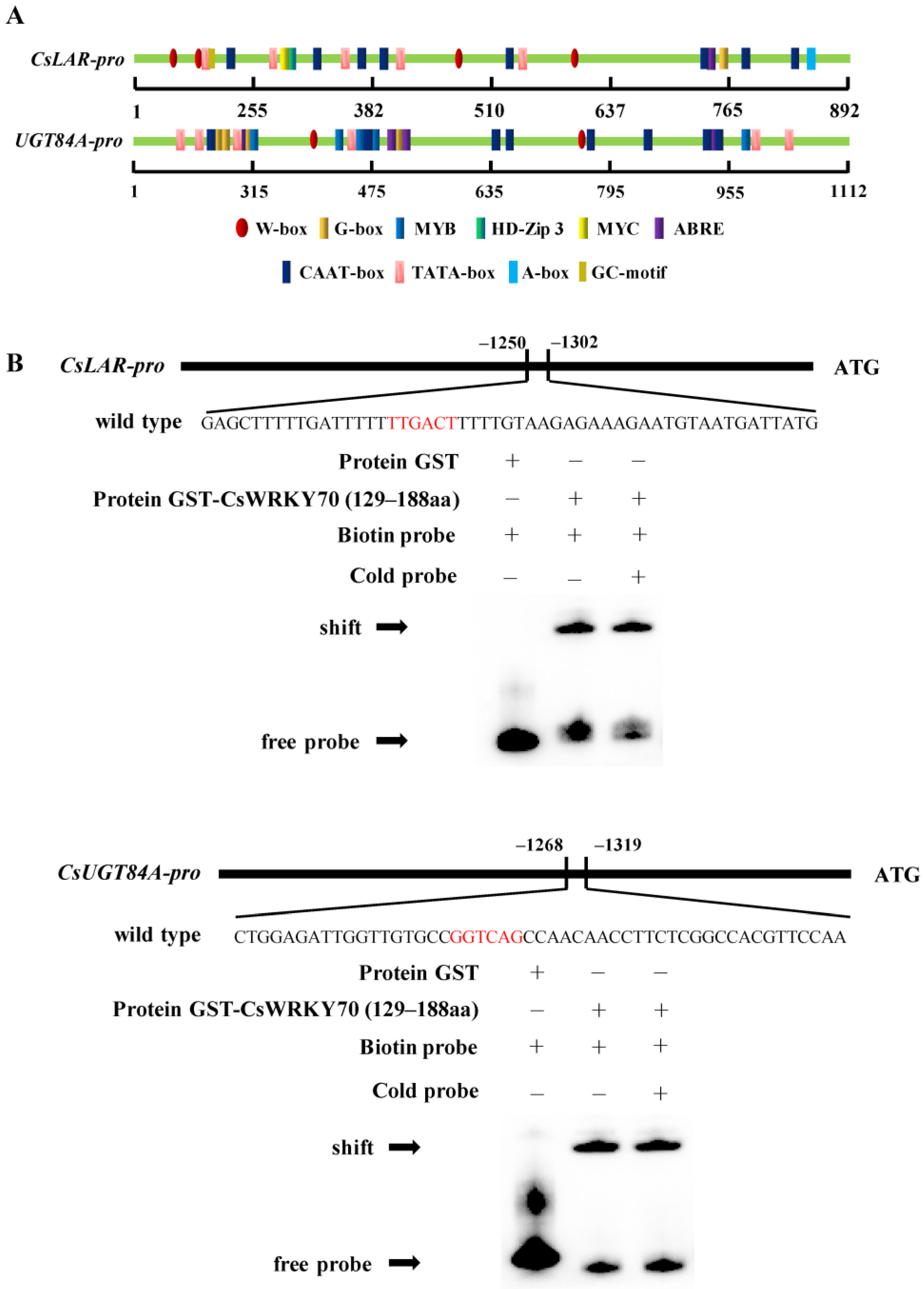 Horticulturae 09 00120 g005