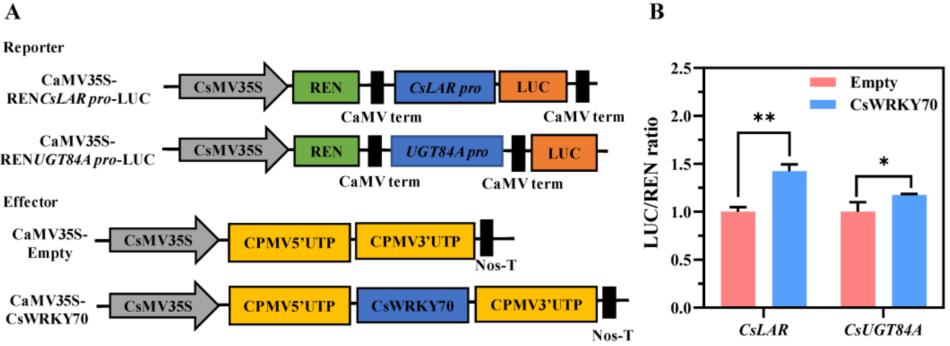 Horticulturae 09 00120 g006