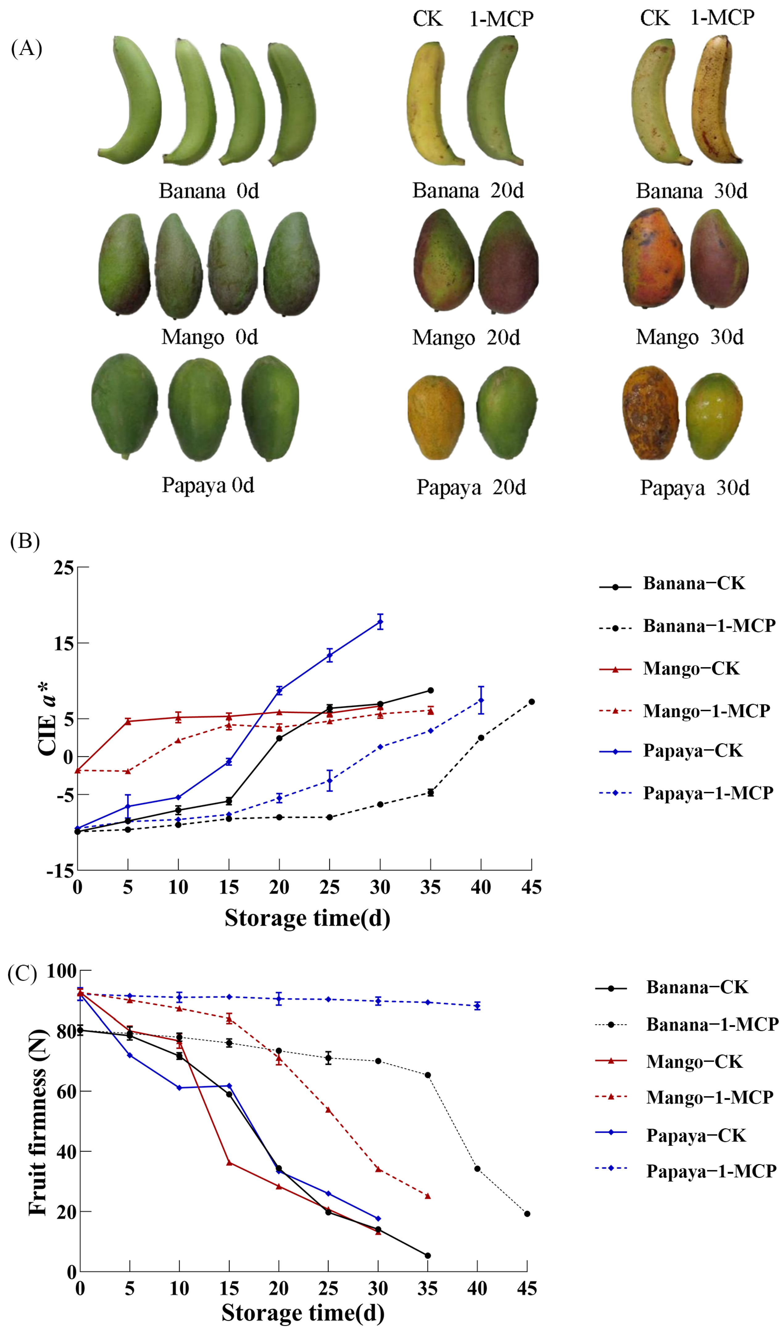 Horticulturae 09 00126 g002