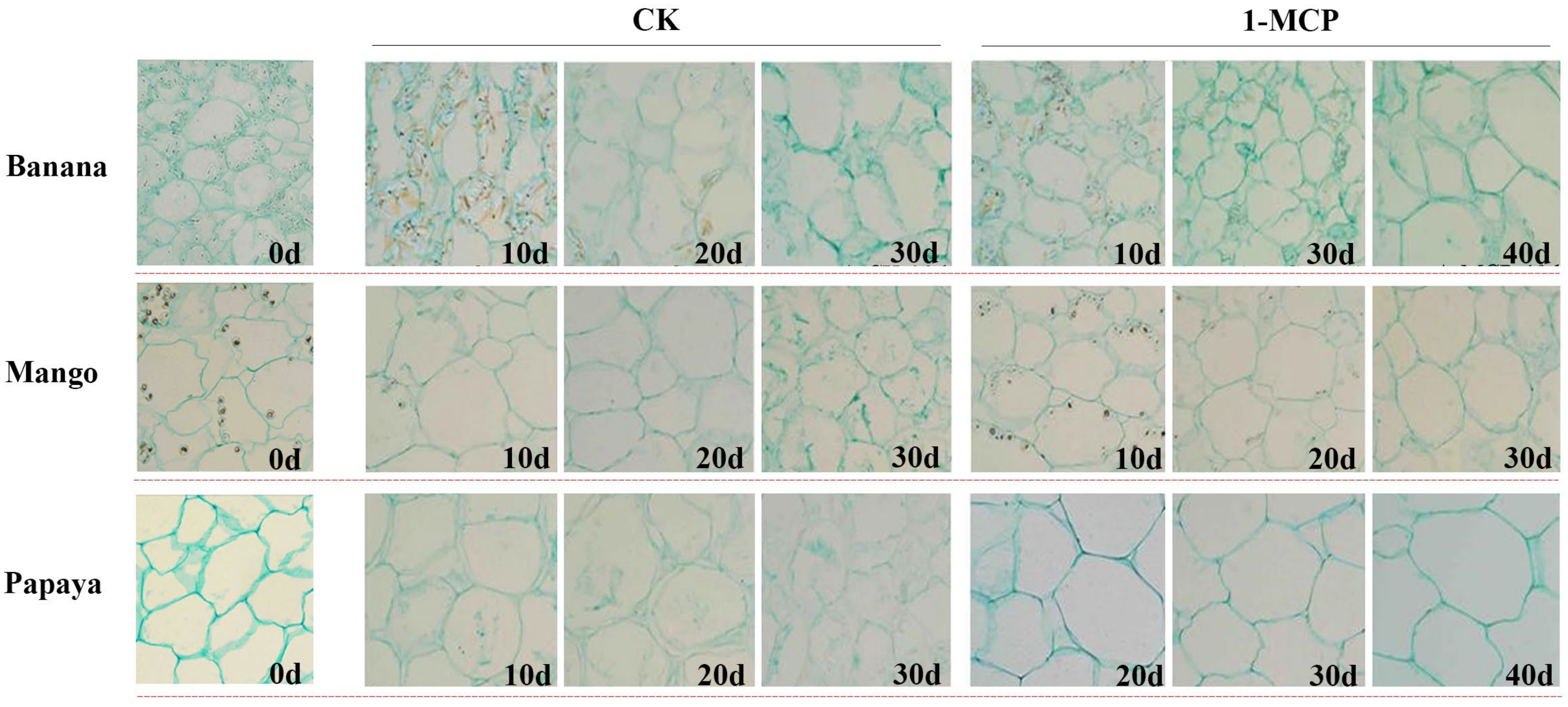 Horticulturae 09 00126 g006