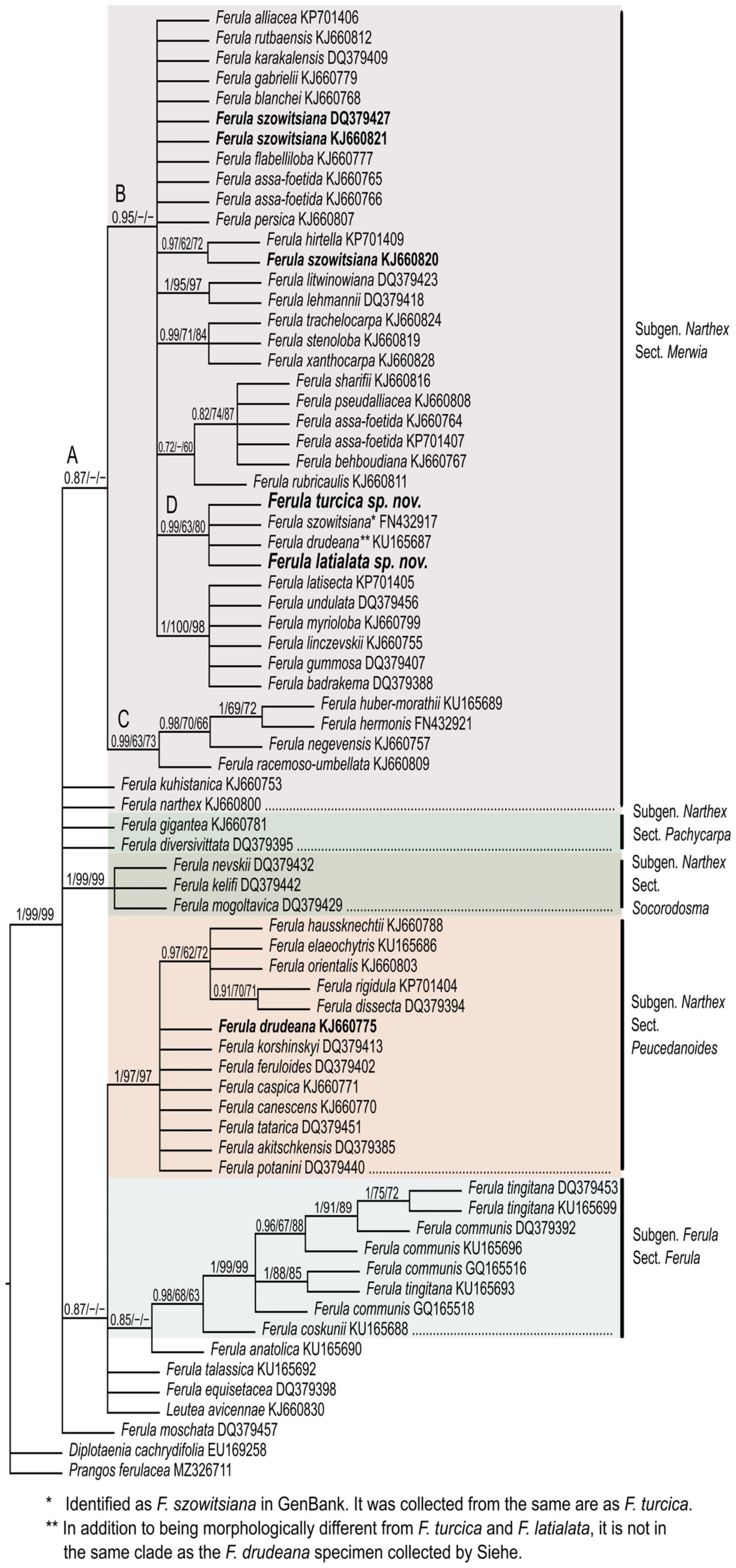 Horticulturae 09 00144 g007