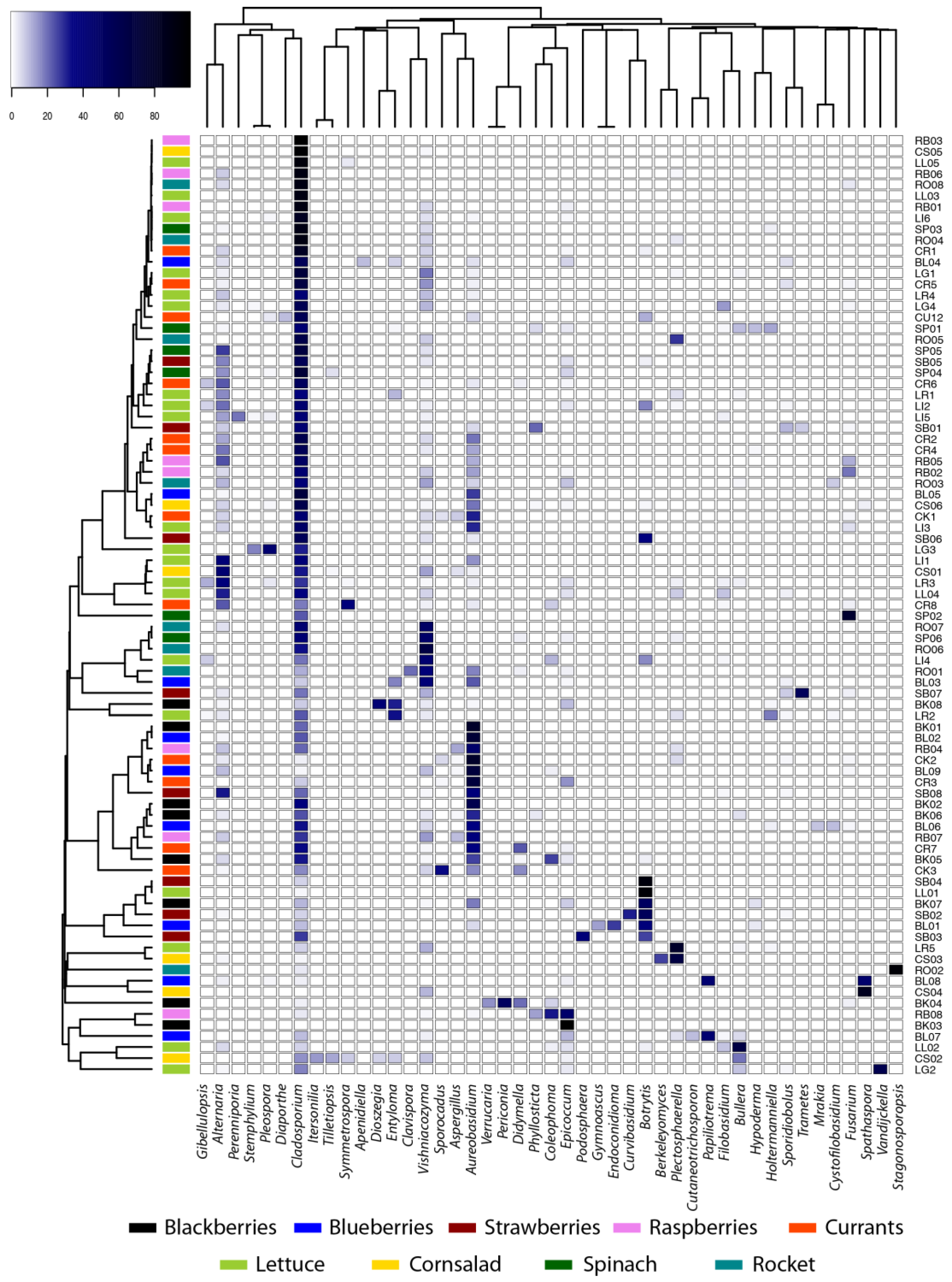 Horticulturae 09 00150 g003