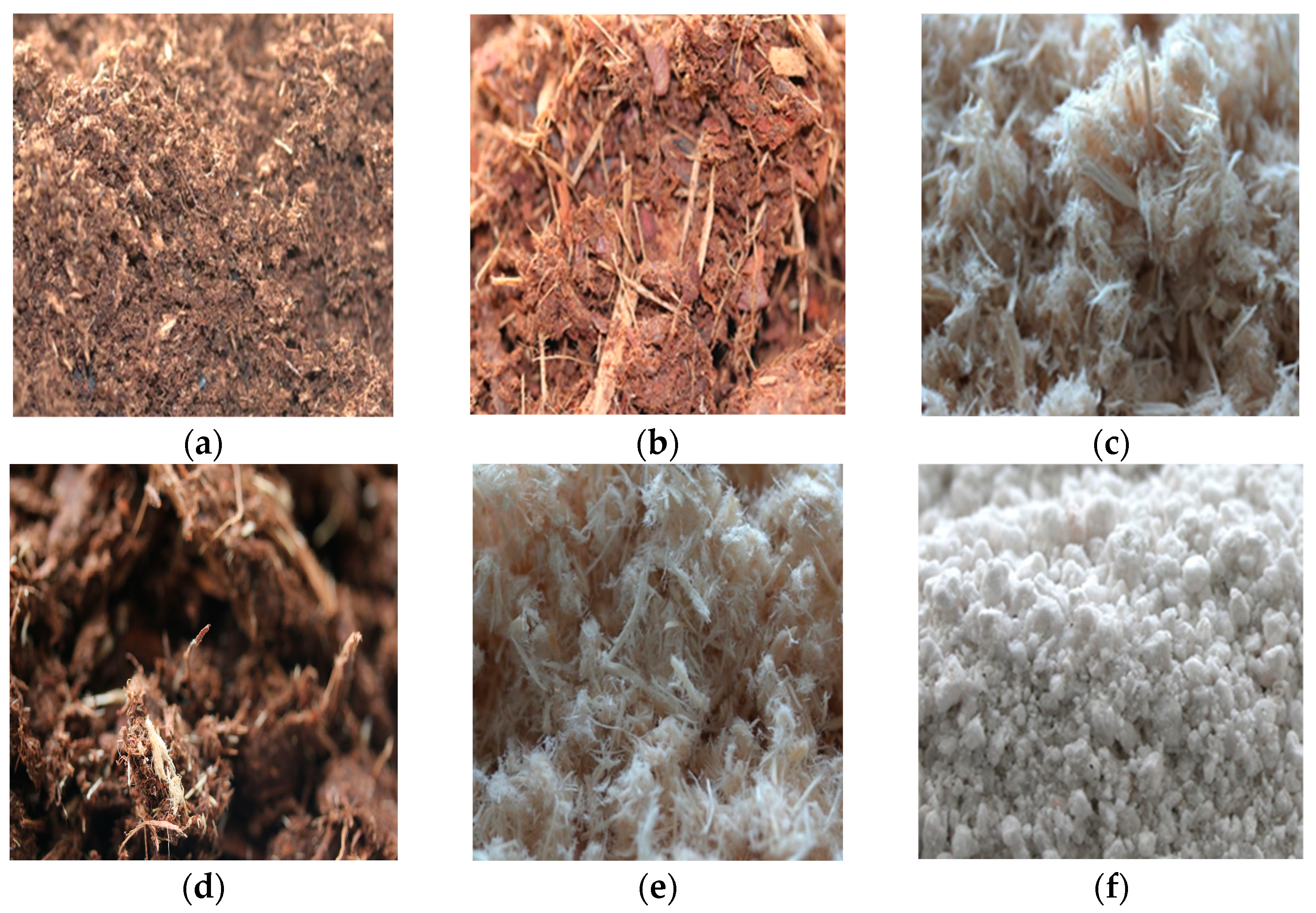 Horticulturae 09 00151 g001