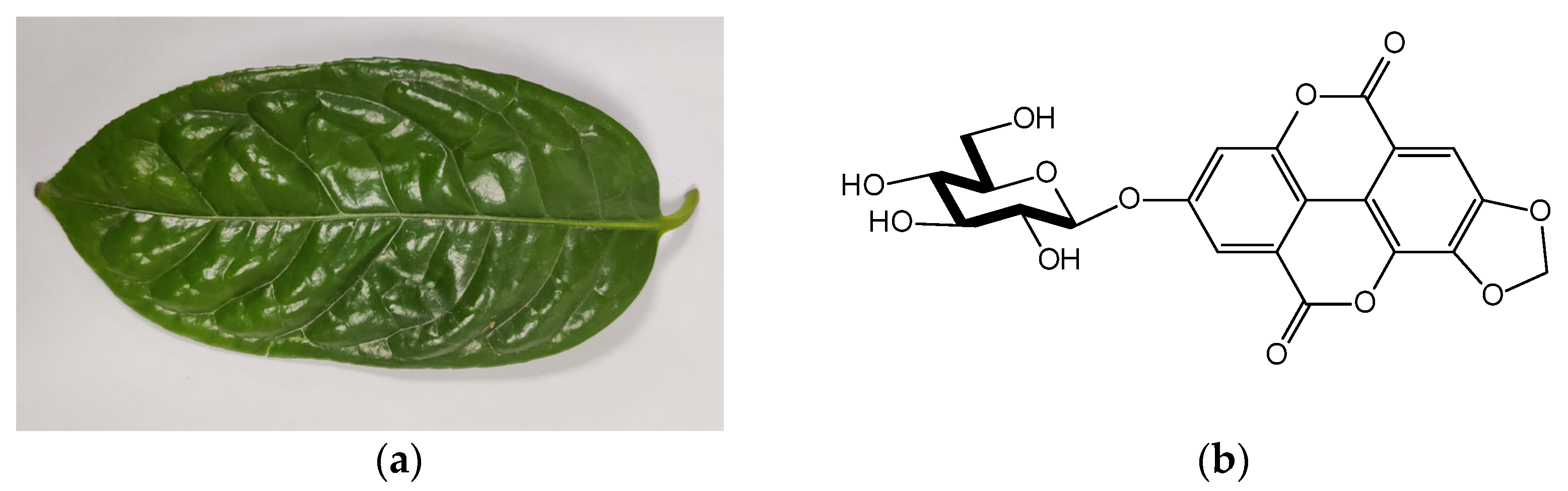 Horticulturae 09 00166 g001