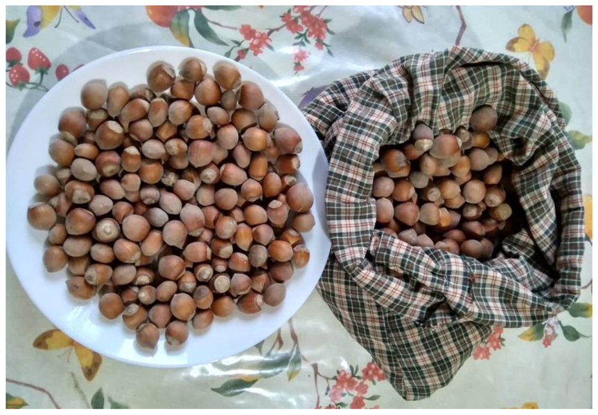 Horticulturae 09 00171 g005 Horticulturae 09 00171 g005