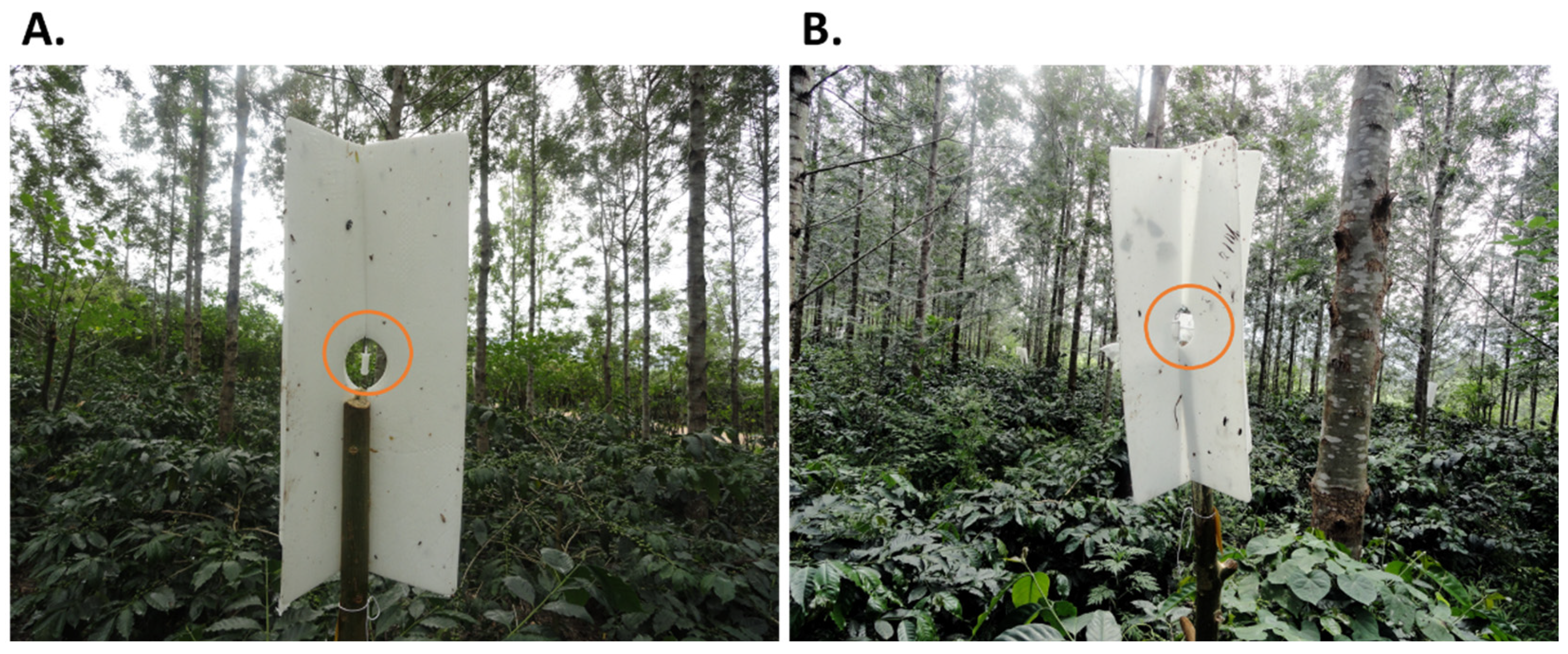 Horticulturae 09 00173 g001