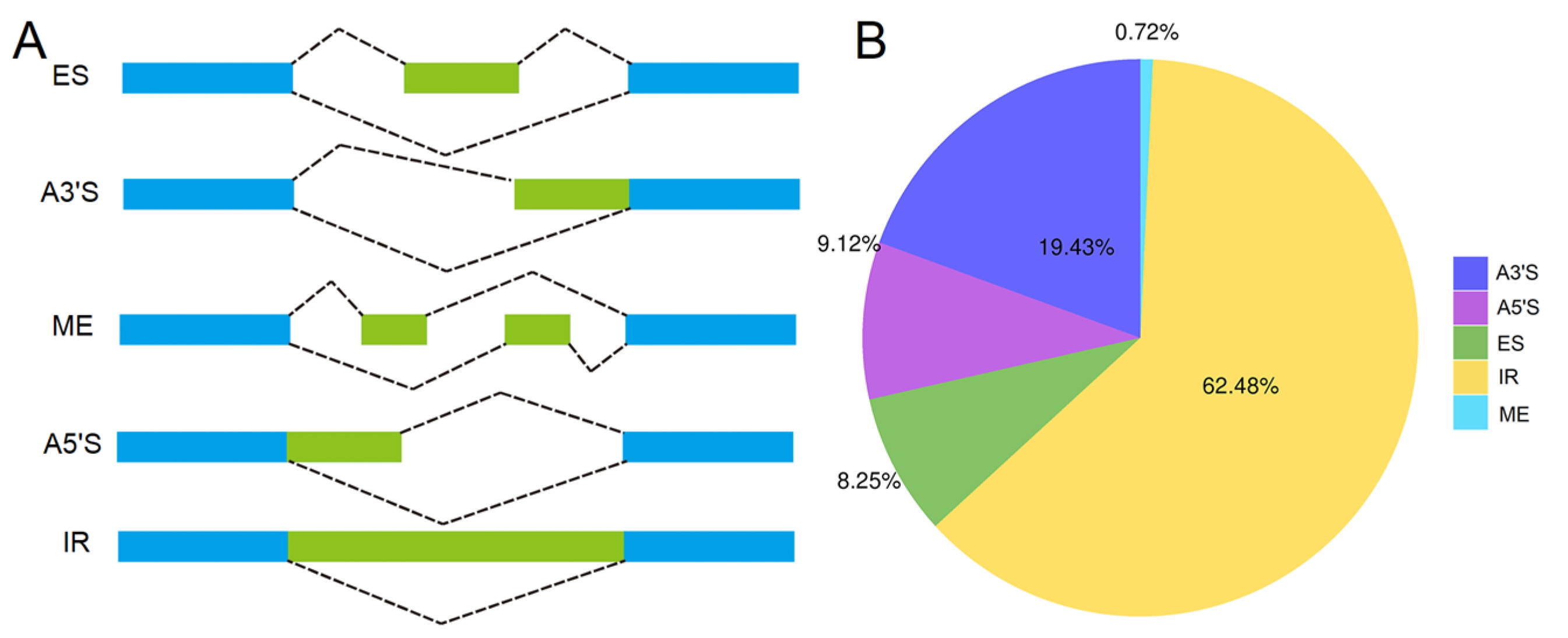 Horticulturae 09 00175 g003