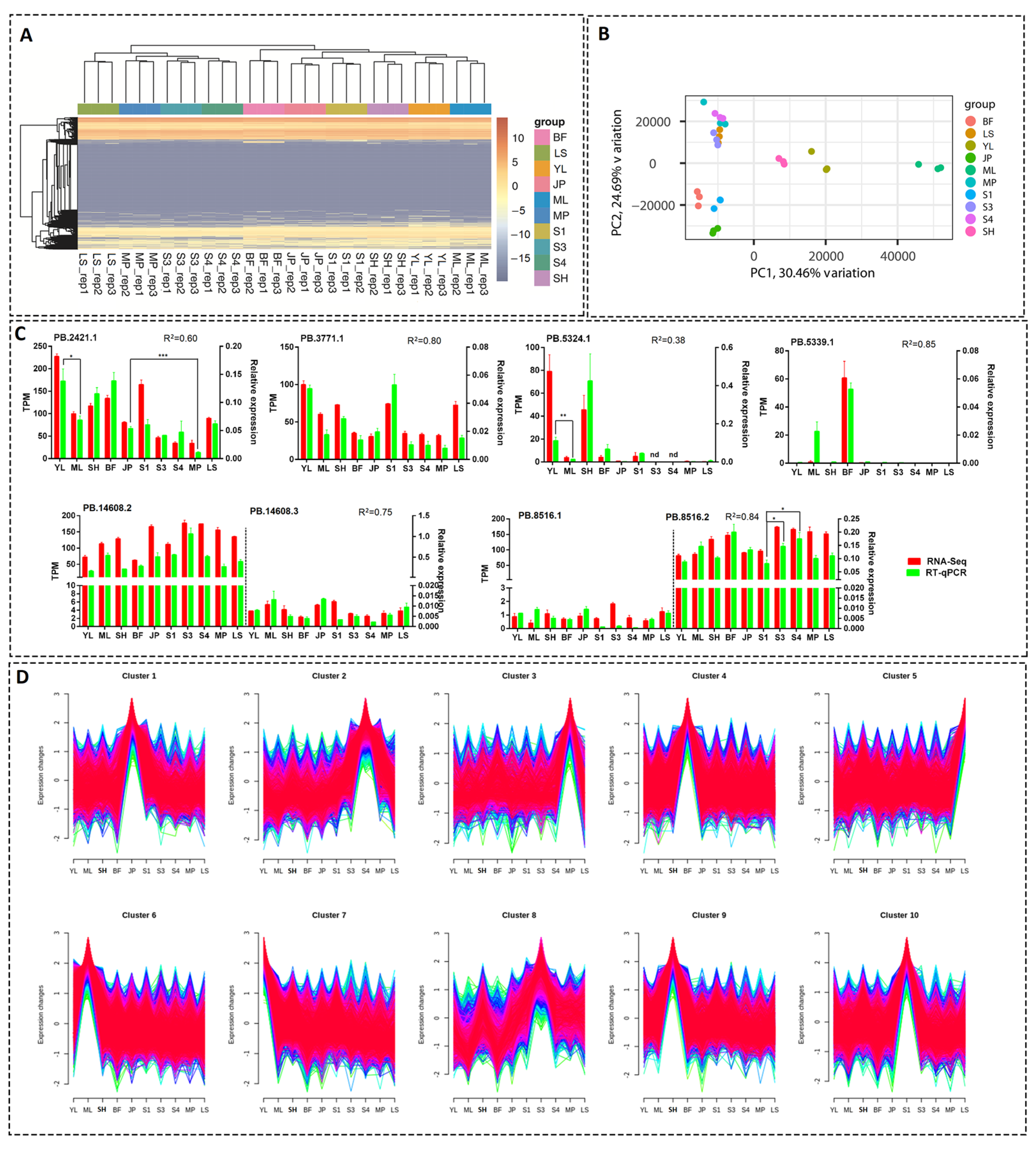 Horticulturae 09 00175 g005