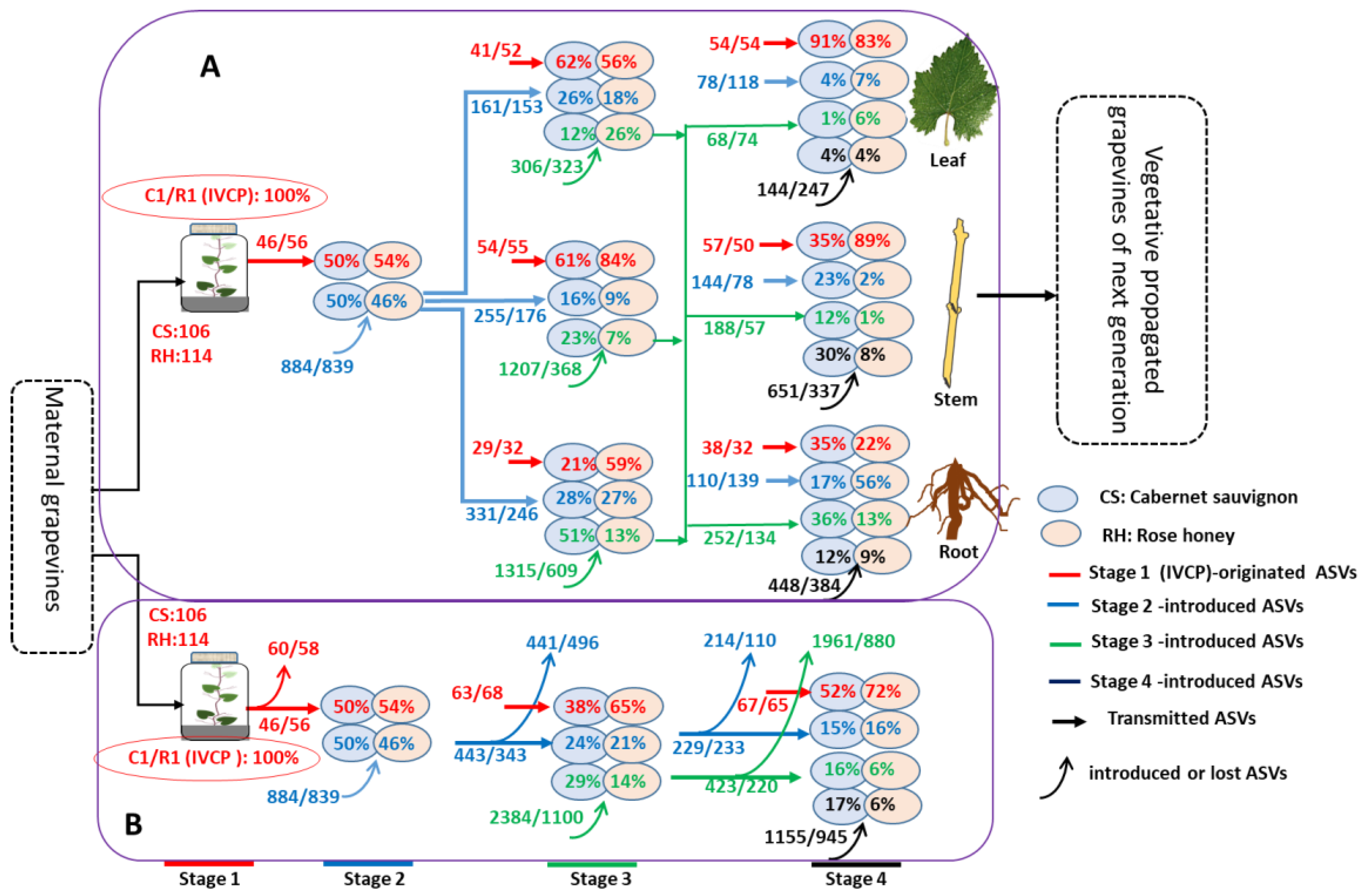 Horticulturae 09 00180 g003